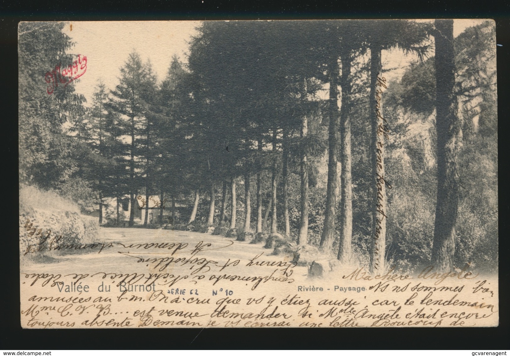 VALLEE DU BURNOT  RIVIERE  PAYSAGE - Autres & Non Classés