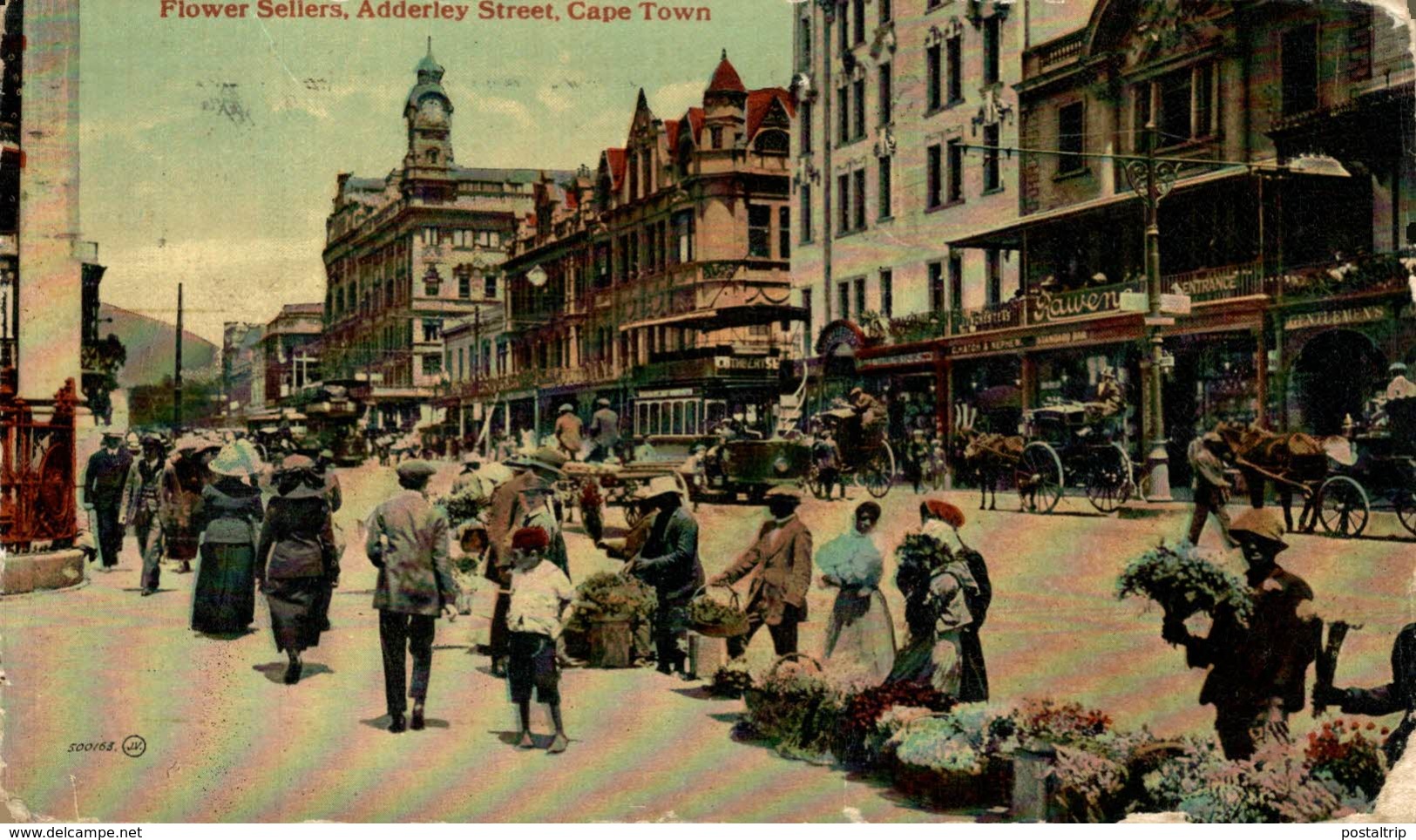 SUDAFRICA // SOUTH AFRICA. Flowers Sellers - Adderley Street - Cape Town - Sudáfrica