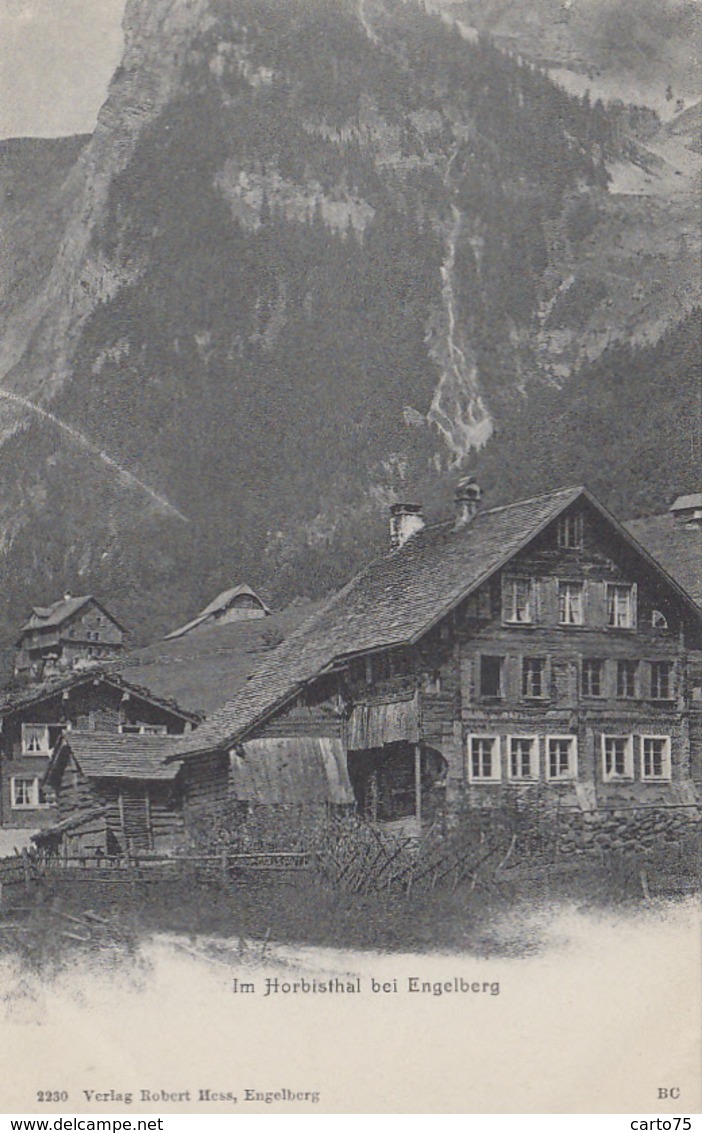 Suisse - Engelberg  - Im Horbisthal Bei Engelberg - Précurseur - Engelberg