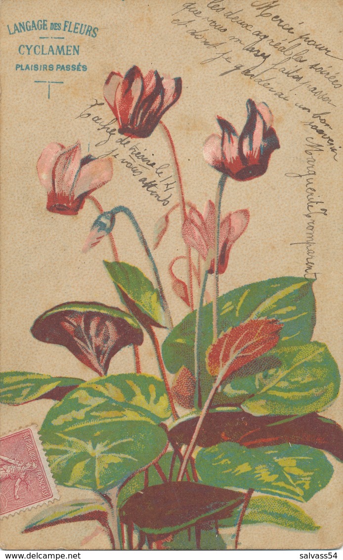 CPA - Fantaisie - Langage Des Fleurs - Cyclamen - Plaisirs Passés (1904) - Blumen