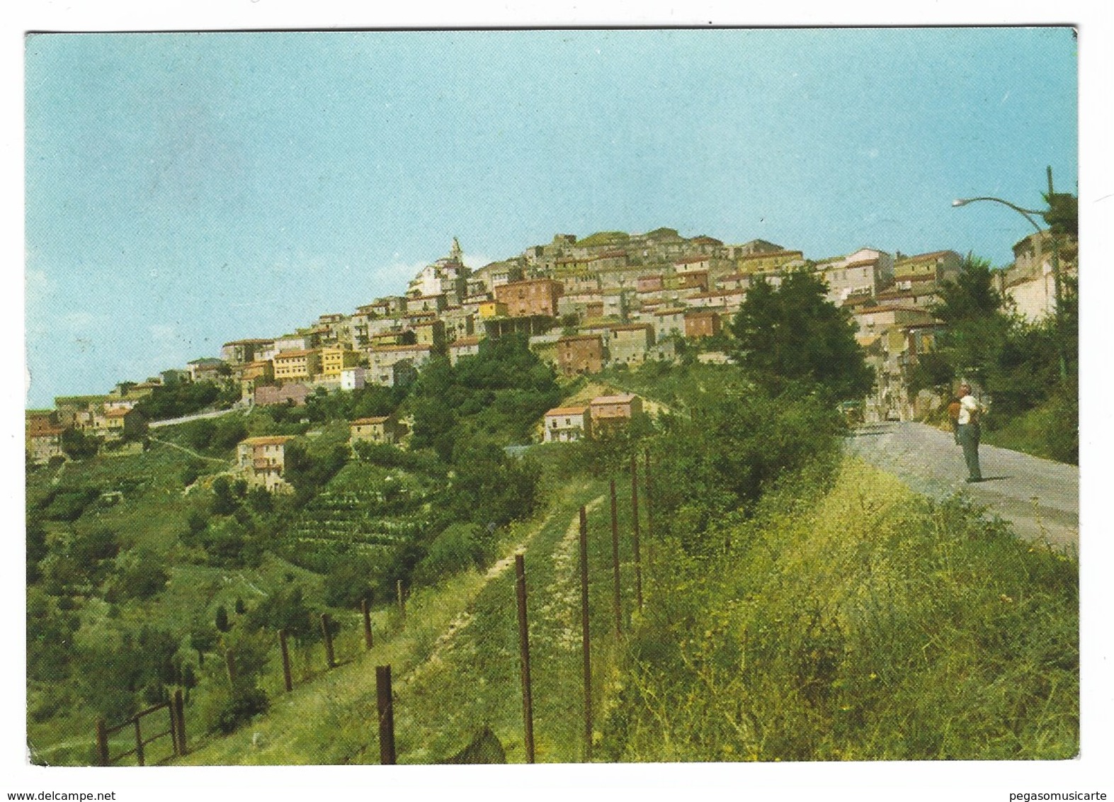 1462 - CAIRANO AVELLINO PANORAMA 1984 - Avellino