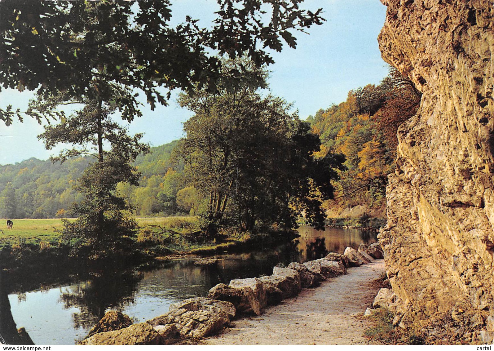 CPM - Vallée De L'Ourthe - Sentier Touristique BARVAUX-DURBUY - Durbuy