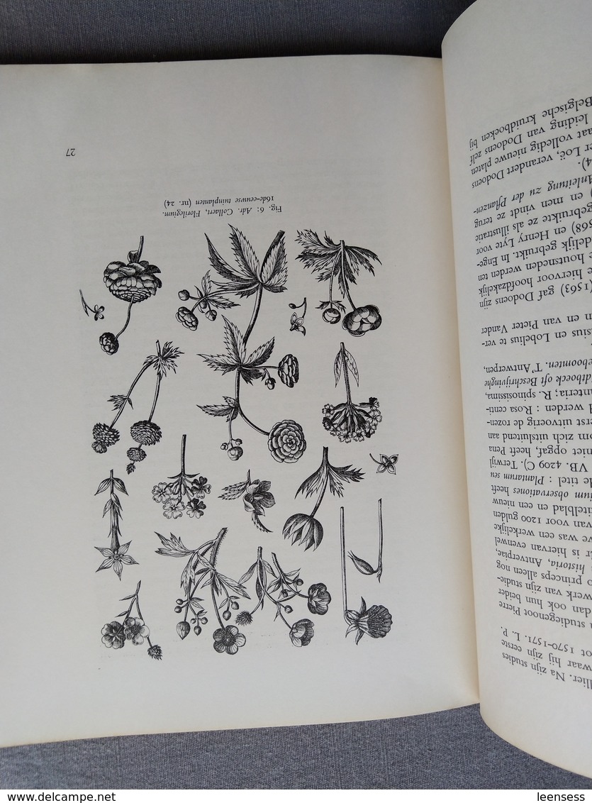 Koninklijke Bibliotheek Van Belgie; Hortus Belgicus; Catalogus Tentoonstelling 1962; Tuinbouw, Horticultuur. - Geschiedenis
