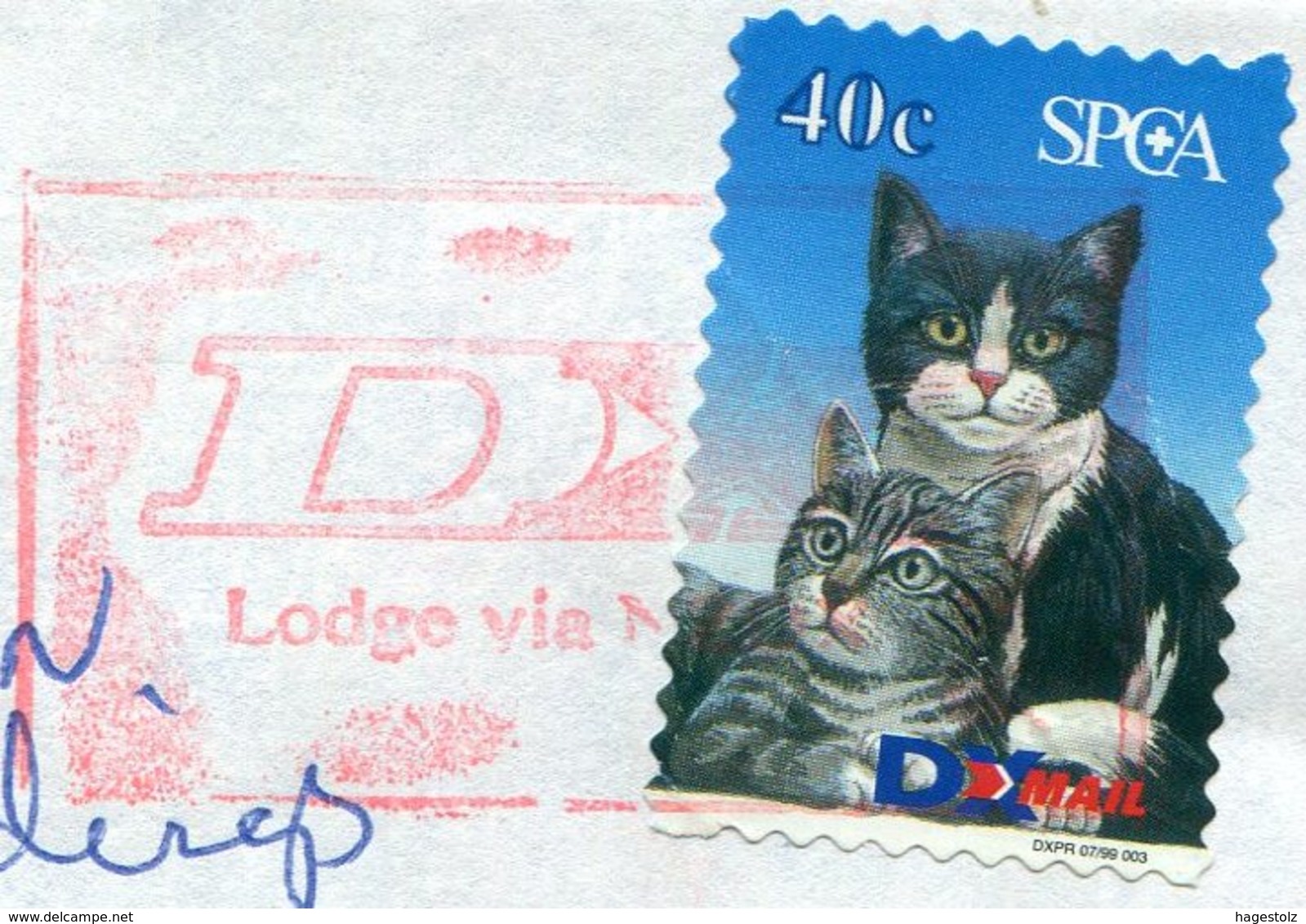 CAT New Zealand DX Mail Private Local Post Cover Cats Katze Chat Kat Gato Gatto NZ Privatpost Poste Privée - Gatti