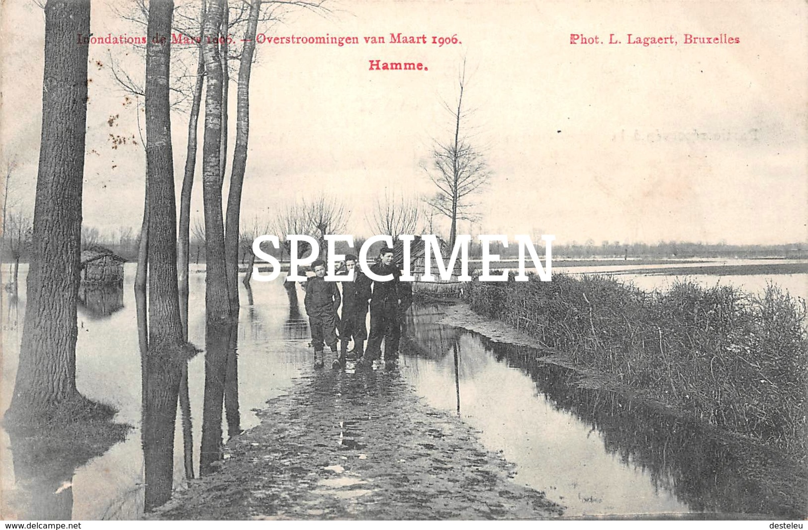 Overstromingen Van Maart 1906 - Hamme - Hamme