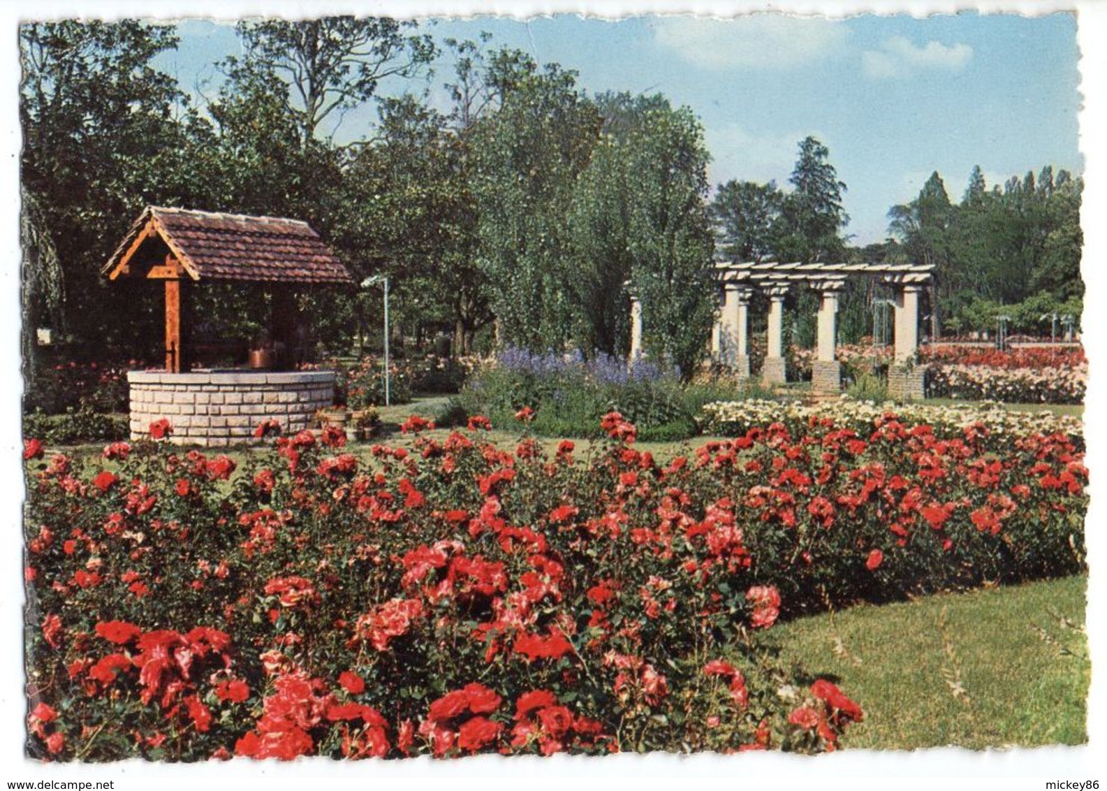 LYON 6° --Parc De La Tête D'Or  --La Roseraie (2 Millions De Roses)--puit ---timbre  --cachet - Lyon 6