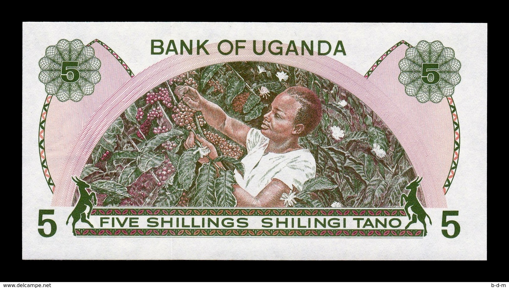 Uganda 5 Shillings 1982 Pick 15 SC UNC - Uganda