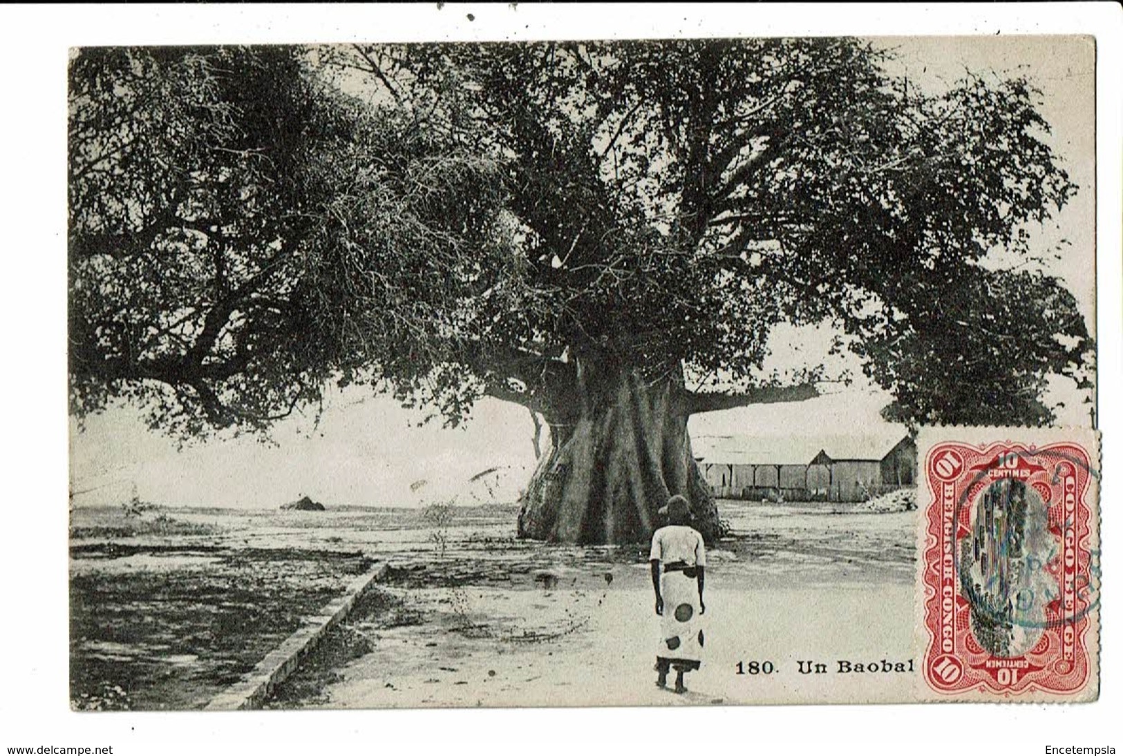 CPA-Cartes Postale-Kenya-Baobabs -1913  VM9506 - Kenya