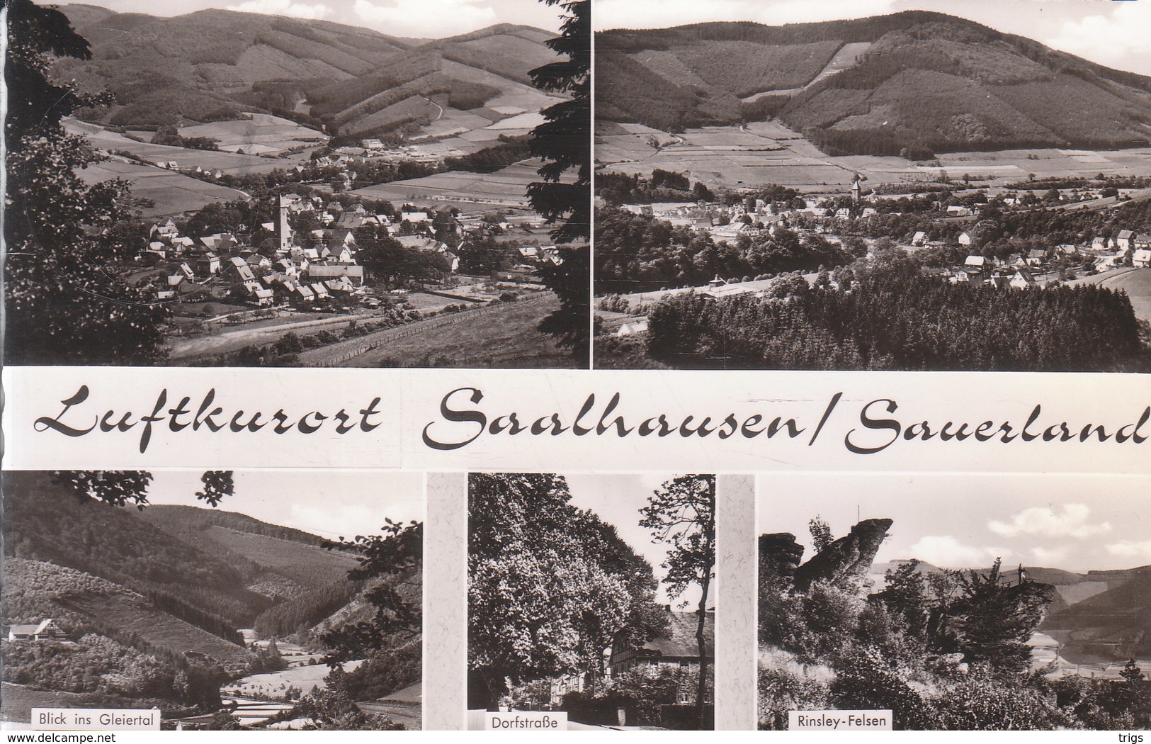 Saalhausen - Lennestadt