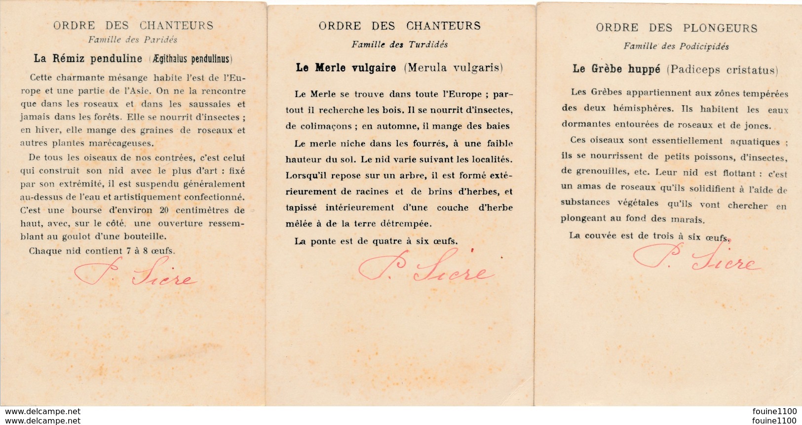 Lot De 3 " Chromo Image " Oeufs Et Nids  ( Recto Verso ) - Autres & Non Classés