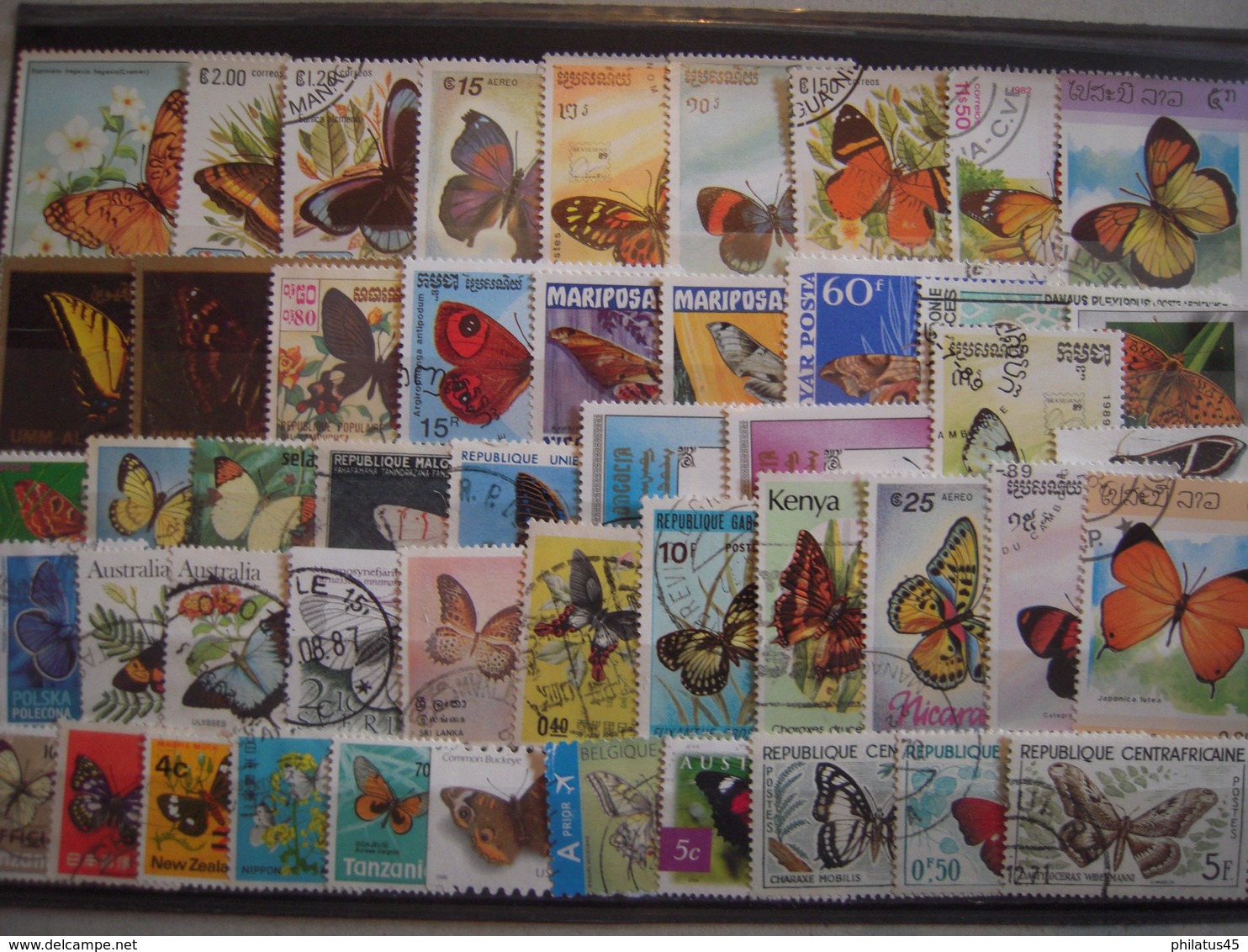 LOT DE 50 TP DIFFERENTS THEME "PAPILLONS" - Butterflies