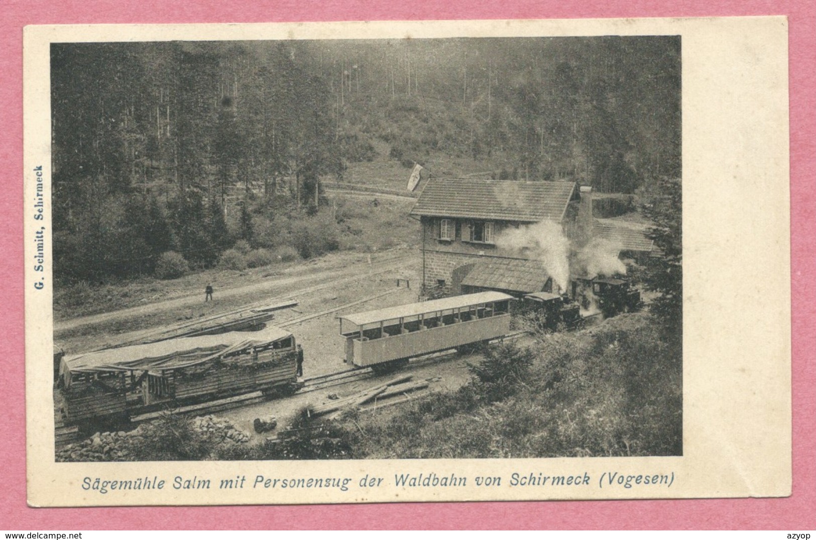Vogesen - 67 - Vallée De La Bruche - SALM / SCHIRMECK - Waldbahn - Feldbahn - Sägemühle - Scierie - Personnenzug - Train - Autres & Non Classés