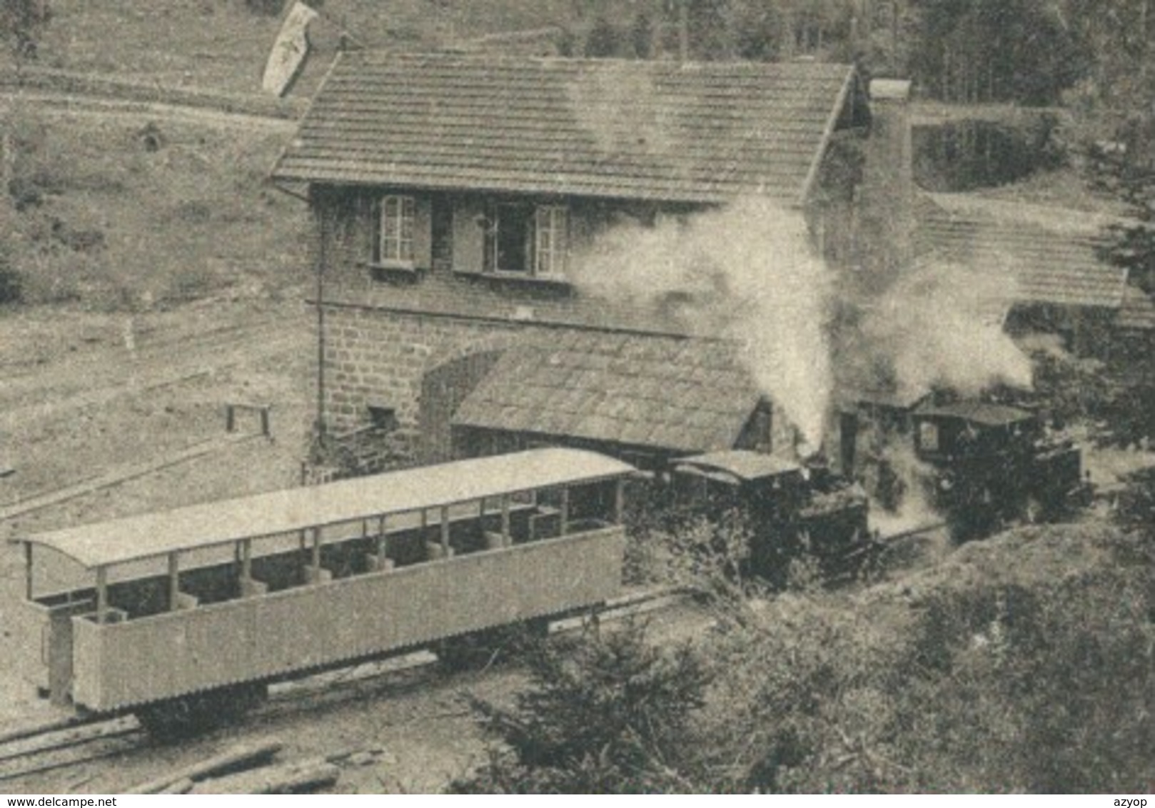 Vogesen - 67 - Vallée De La Bruche - SALM / SCHIRMECK - Waldbahn - Feldbahn - Sägemühle - Scierie - Personnenzug - Train - Autres & Non Classés