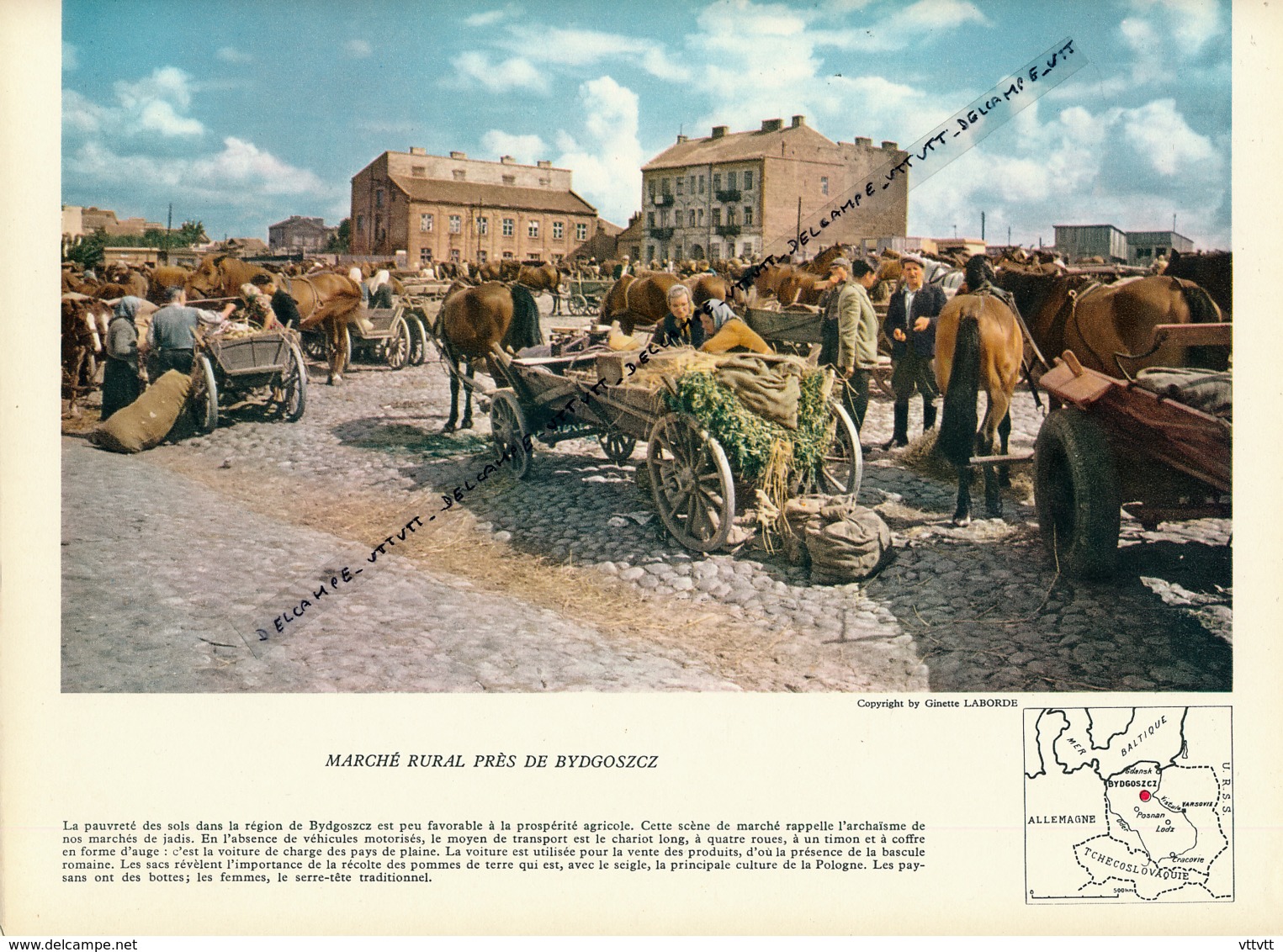 Photo (1959), POLOGNE, Marché Rural Près De Bydgoszcz, Chariot Long, Bascule Romaine, Pommes De Terres, Bottes... - Collections