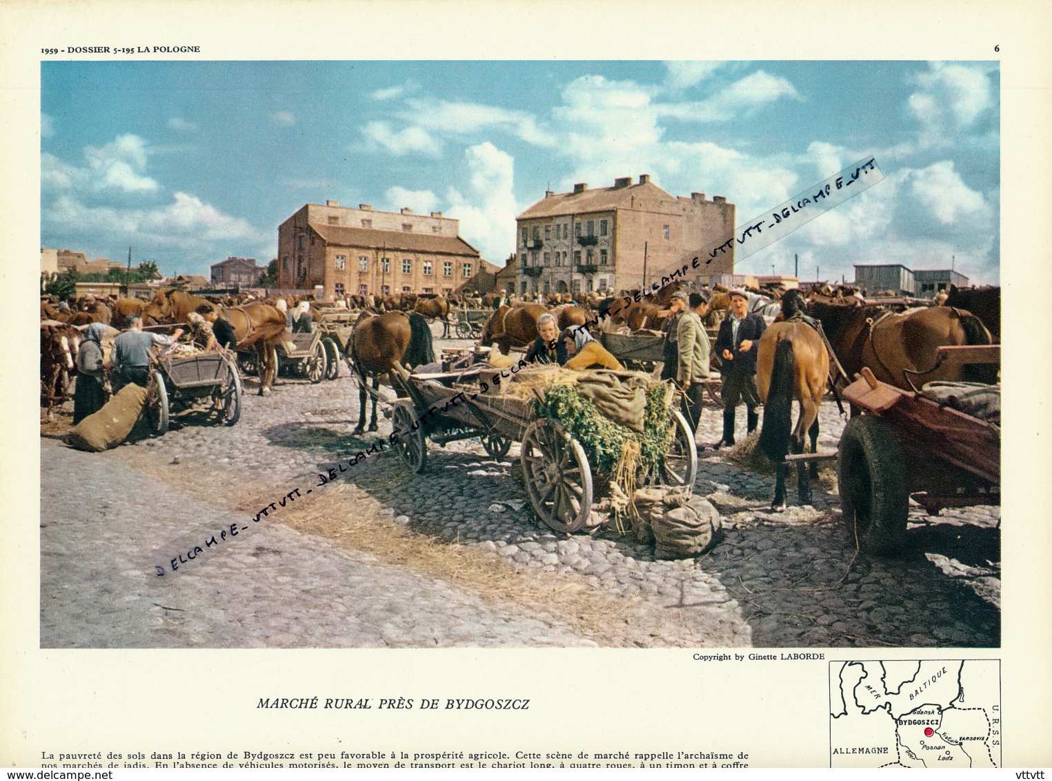 Photo (1959), POLOGNE, Marché Rural Près De Bydgoszcz, Chariot Long, Bascule Romaine, Pommes De Terres, Bottes... - Collections