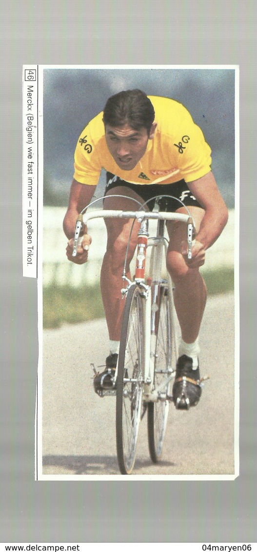 ** 1 X EDDY  MERCKX -----knipsel ! - Wielrennen