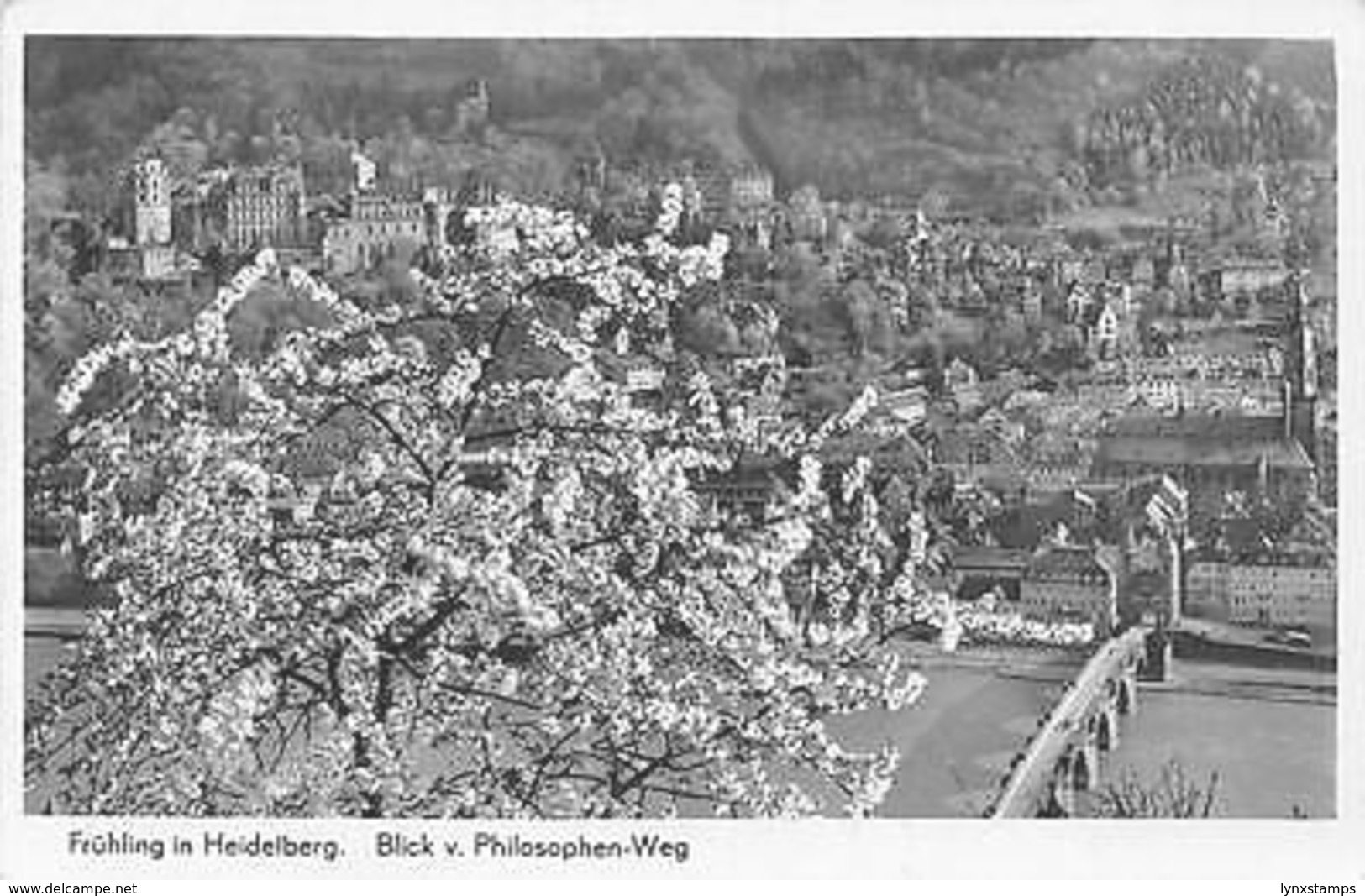 Germany Fruehling In Heidelberg, Blick V. Philosphen-Weg, Bloom Blossom 1940 - Altri & Non Classificati