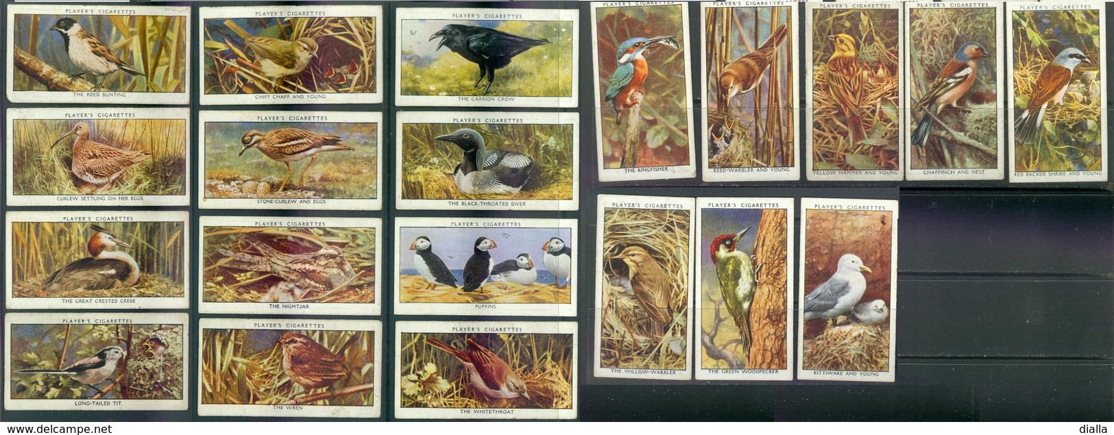 Set Wild Birds, Série Oiseaux Sauvages, 20/50 John Player Cigarette Cards, Vintage Anno 1932 - Player's
