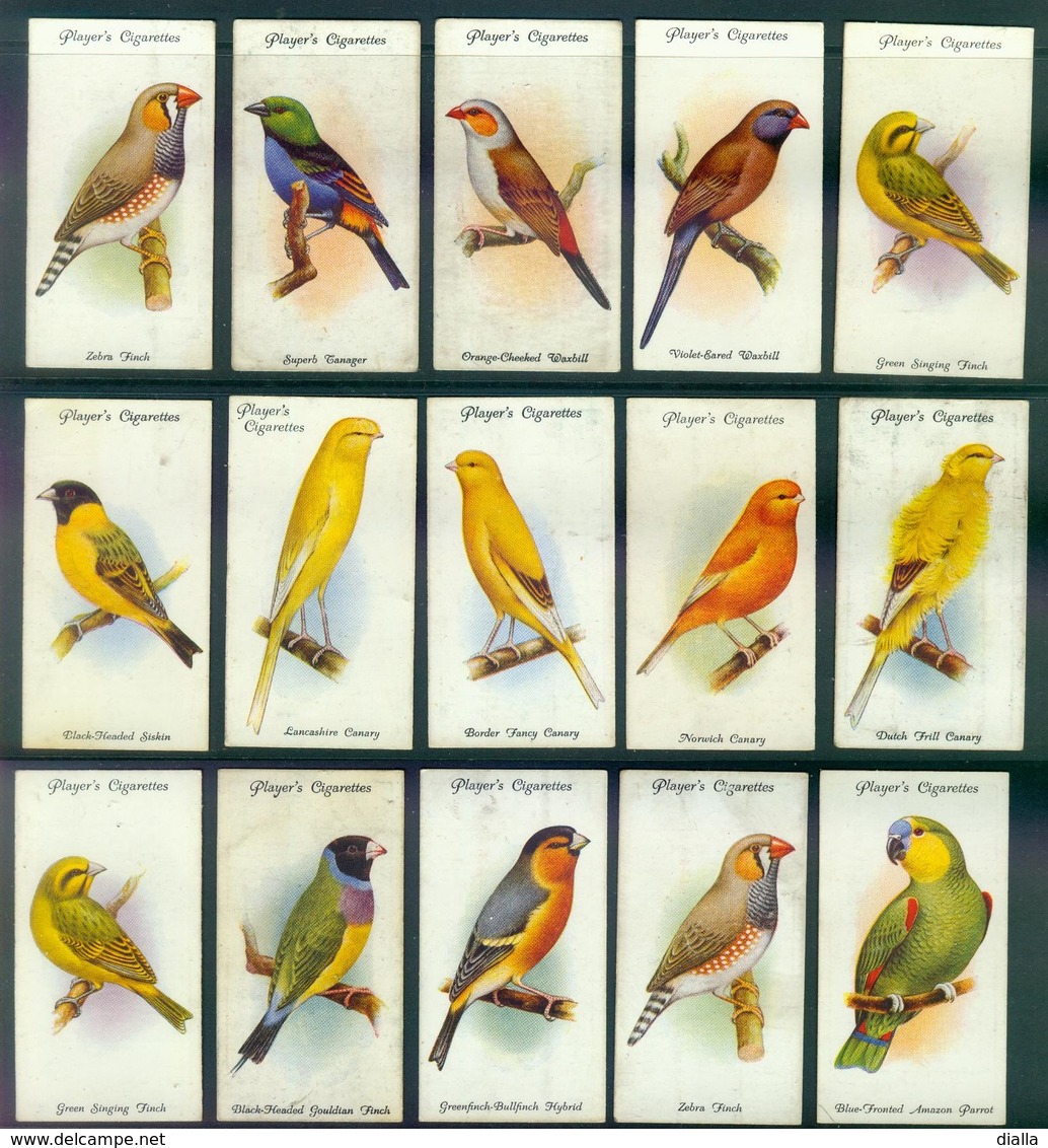 Set Aviary And Cage Birds, Série Oiseaux De Cage, 15/50 John Player Cigarette Cards, Vintage - Player's