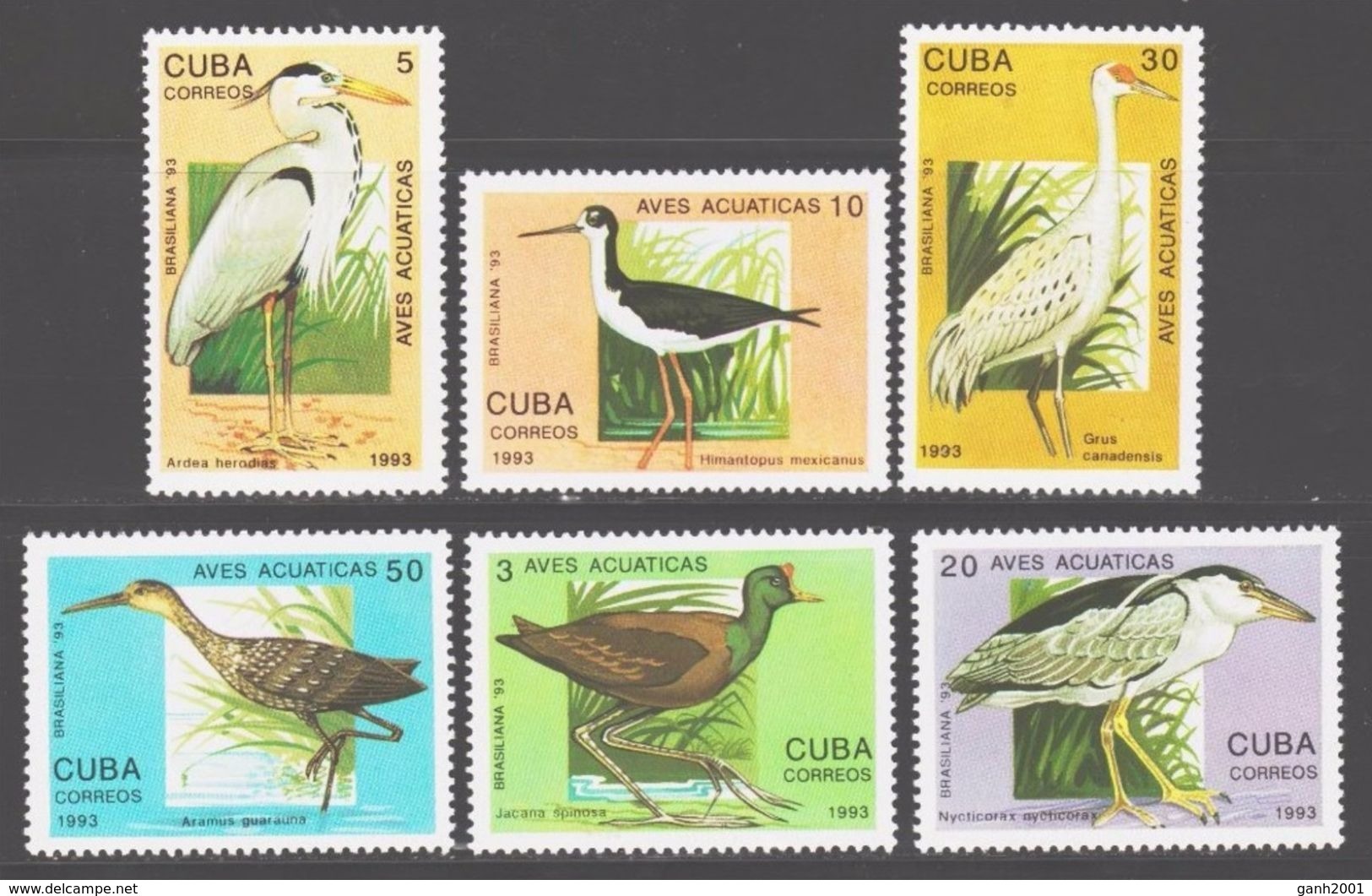 Cuba 1993 / Birds MNH Aves Vögel Oiseaux Uccelli / Cu6007  29-24 - Otros & Sin Clasificación