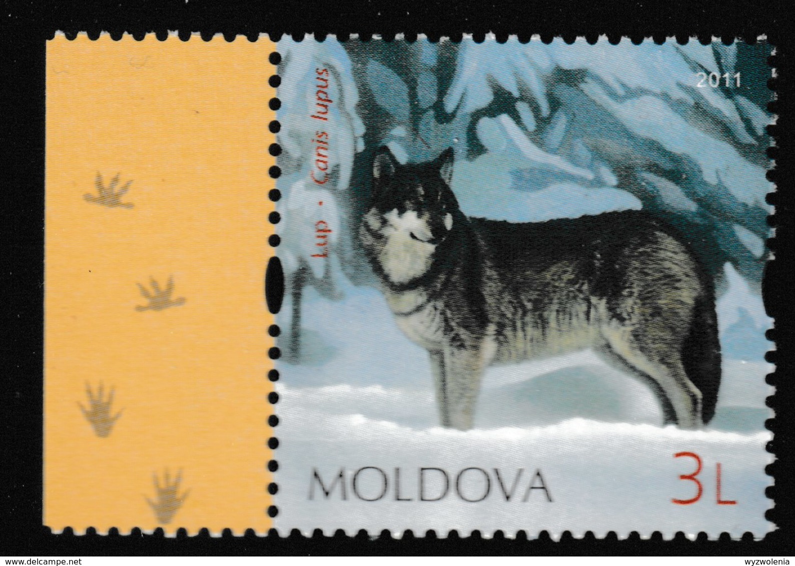 N 553) Moldawien 2011 **: Wolf Canis Lupus - Hunde