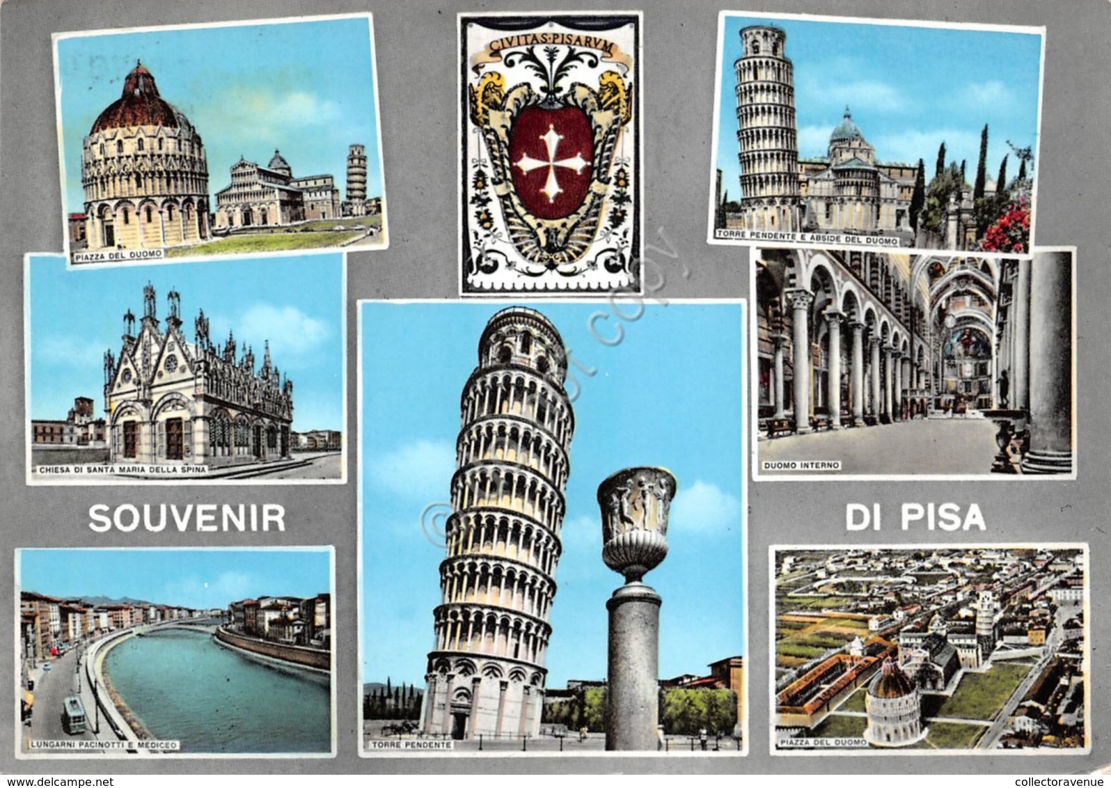 Cartolina Pisa Vedute Timbro A Targhetta Stradale 1960 - Pisa