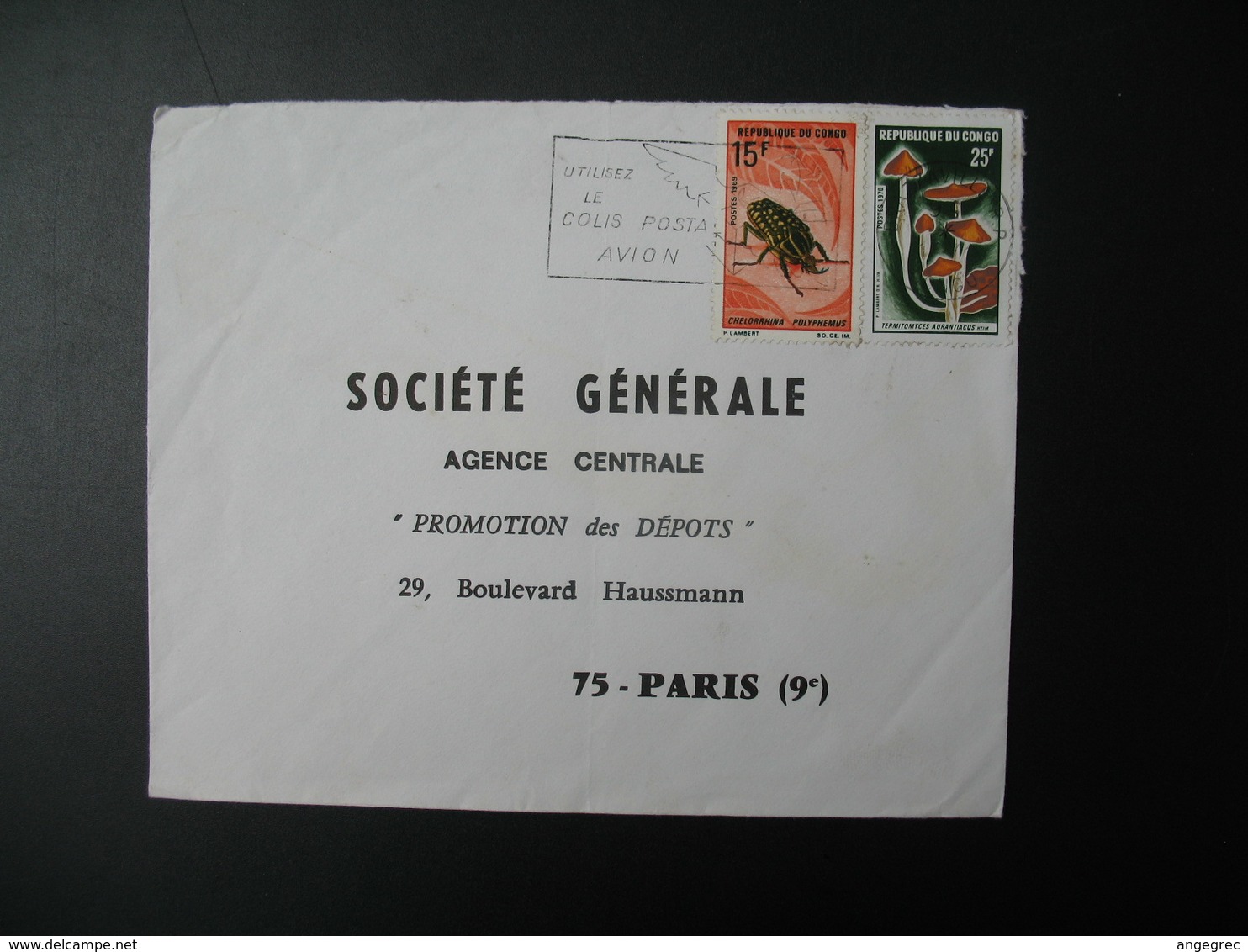 Lettre  Thème Insectes Chelorrhina   Champignons Termitomyces Congo    Pour La Sté Générale Bd Haussmann Paris - Oblitérés