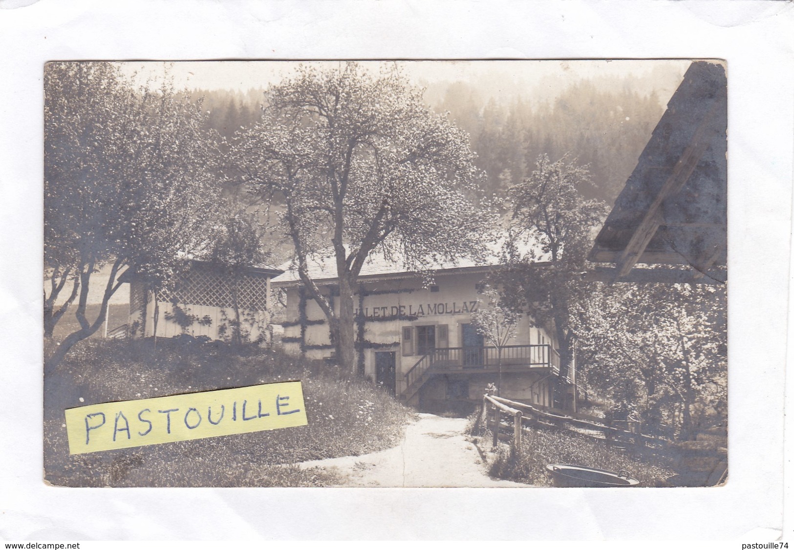 Carte Photo : 13,8 X 8,5  Du  CHALET  DE  LA  MOLLAZ.  (ST- GERVAIS - LES - BAINS) - Saint-Gervais-les-Bains