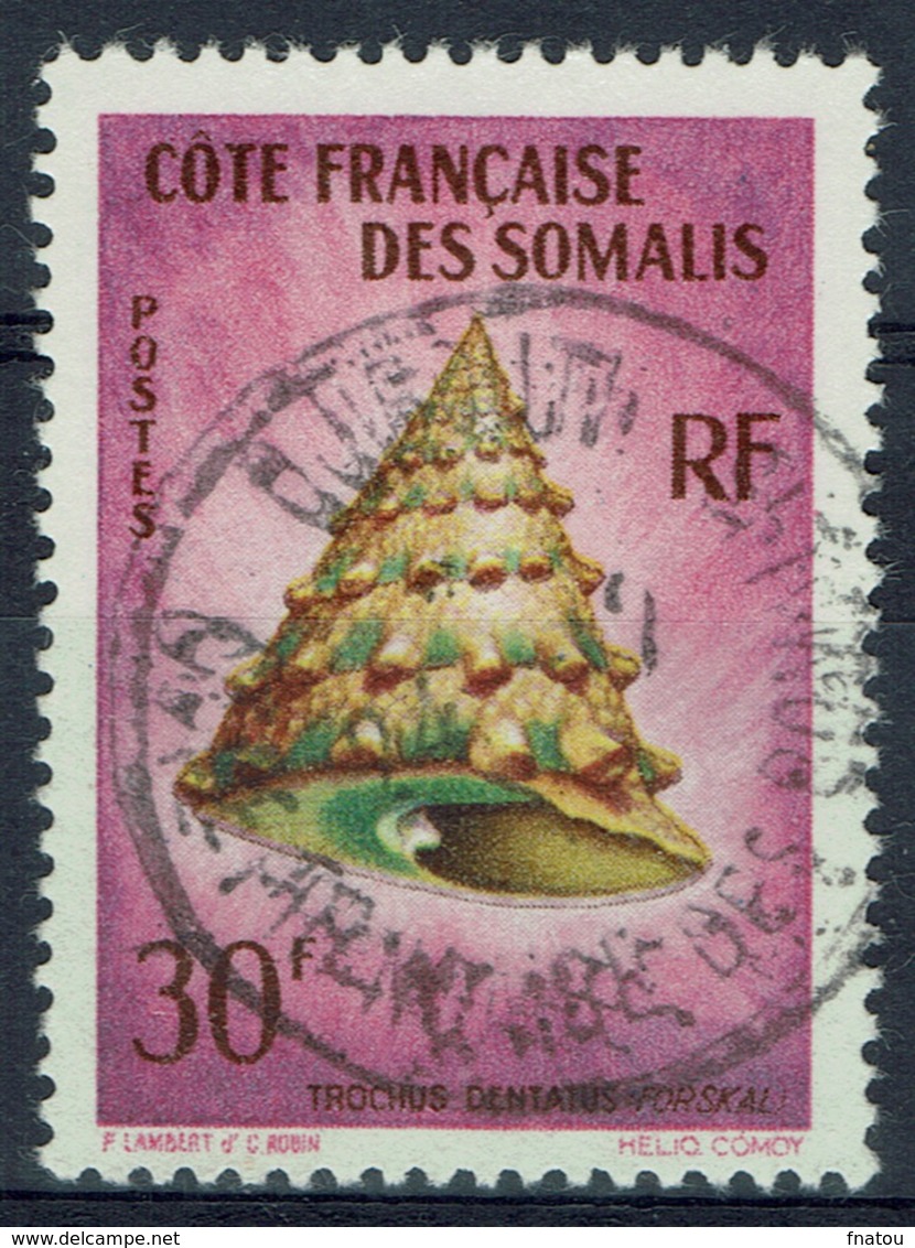 French Somali Coast, Toothed Top Shell, 1962, VFU - Used Stamps