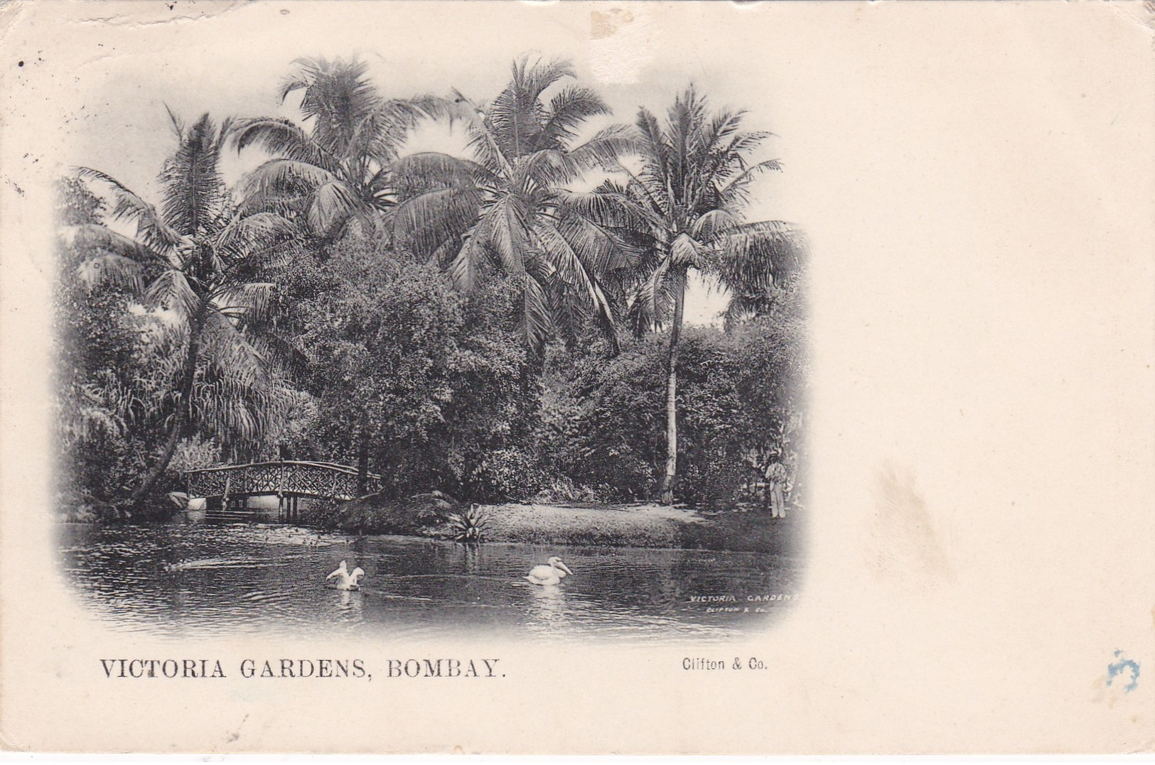 BOMBAY , India , PU-1909 ; Victoria Gardens - India