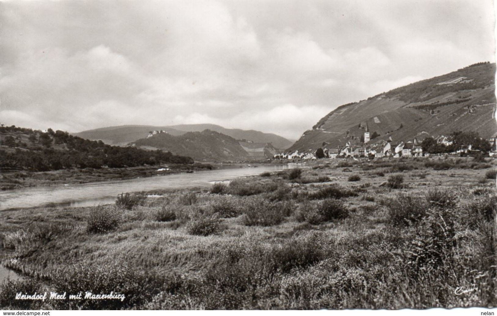 WEINDORF MERL MIT MARIENBURG-REAL PHOTO - Zell