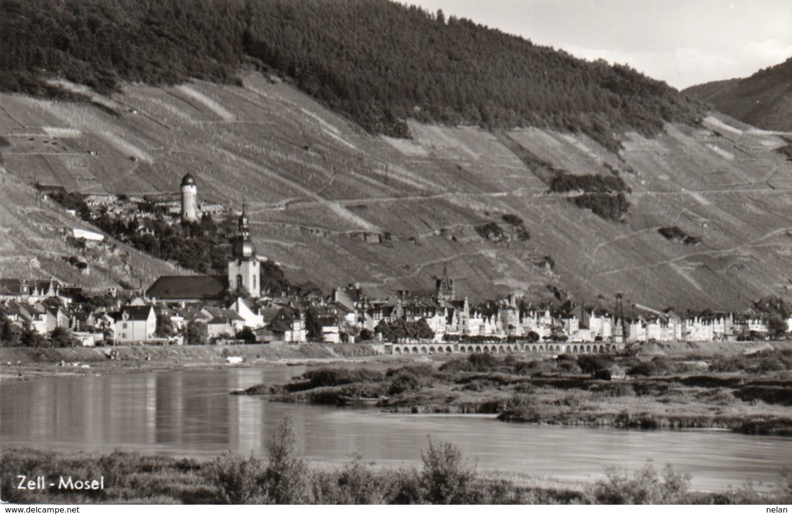 ZELL-MOSEL-REAL PHOTO - Zell