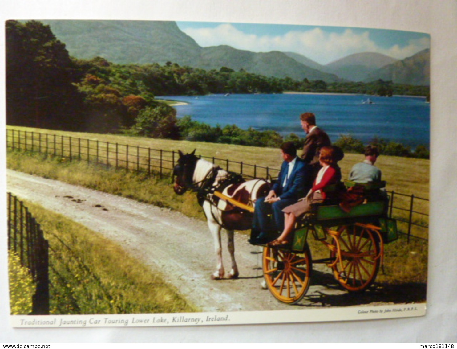 Traditional Jaunting Car Touring Lower Lake, Killarney, Ireland - Down