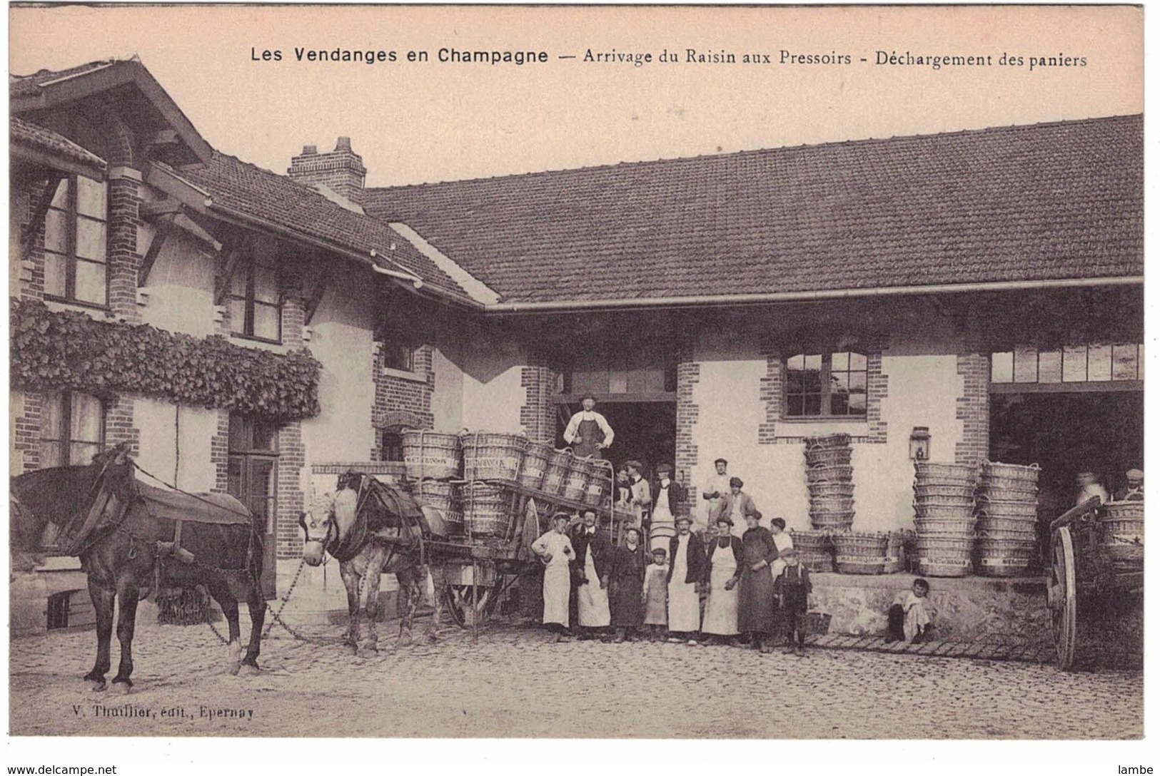 Les Vendanges En Champagne - Arrivage Du Raison Aux Pressoirs - Déchargement Des Paniers - Y. Thuillier éditeur - Sonstige & Ohne Zuordnung