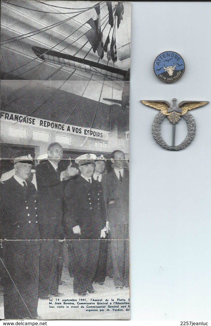 Lot D' Une Médaille  Et D'une Insigne De L' Armée De L'Air  ! Avec Une Page D'explication Sur Les Insignes - Armée De L'air