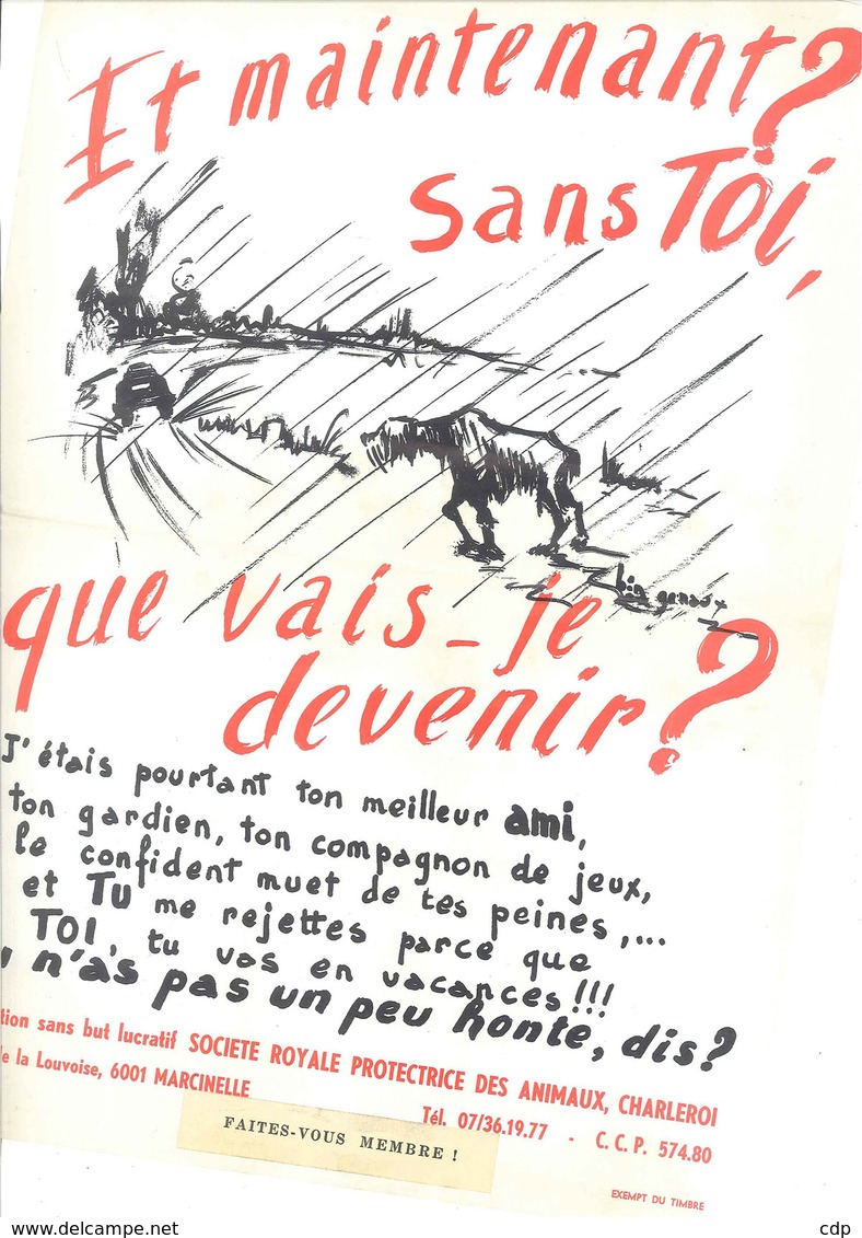 Affiche Animaux  Ben Genaux - Affiches