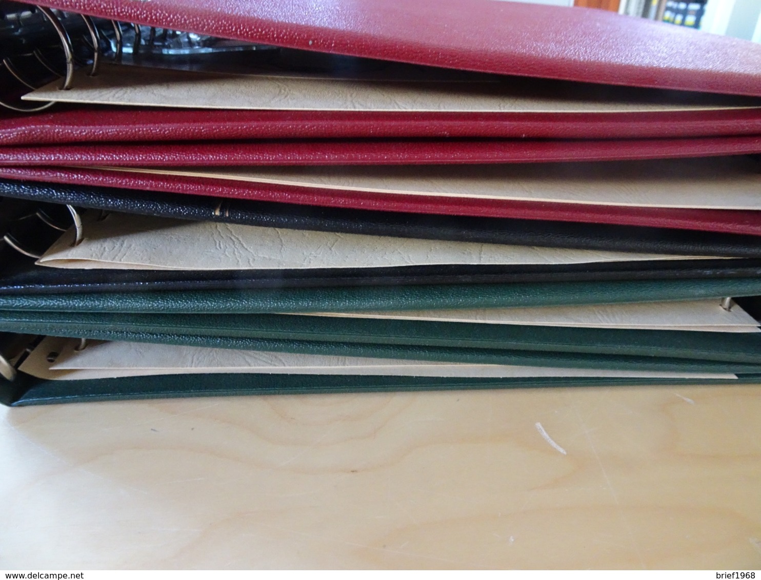 5 Safe Binder Groß Leer (2x Rot, 2x Grün, 1x Schwarz) (11919) - Alben Leer