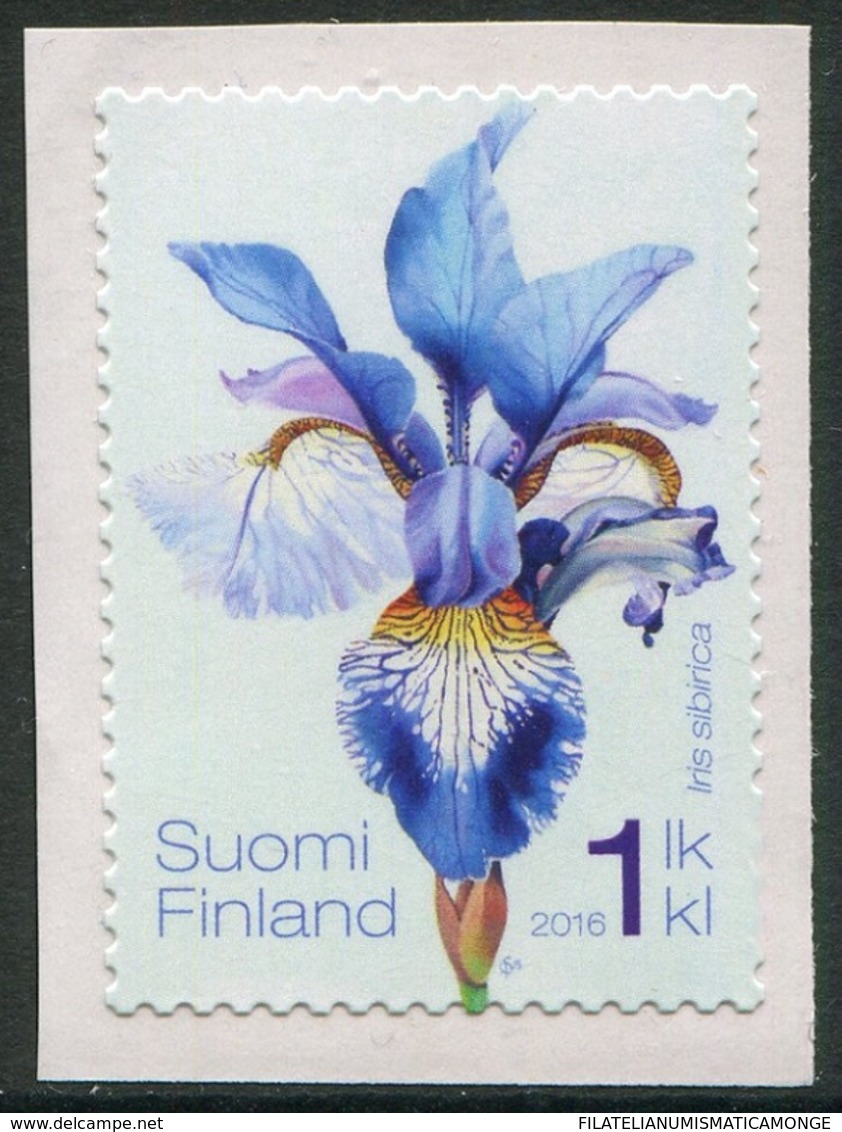 Finlandia 2016  Yvert Tellier  2403 Flora: Iris Siberiano ** - Neufs