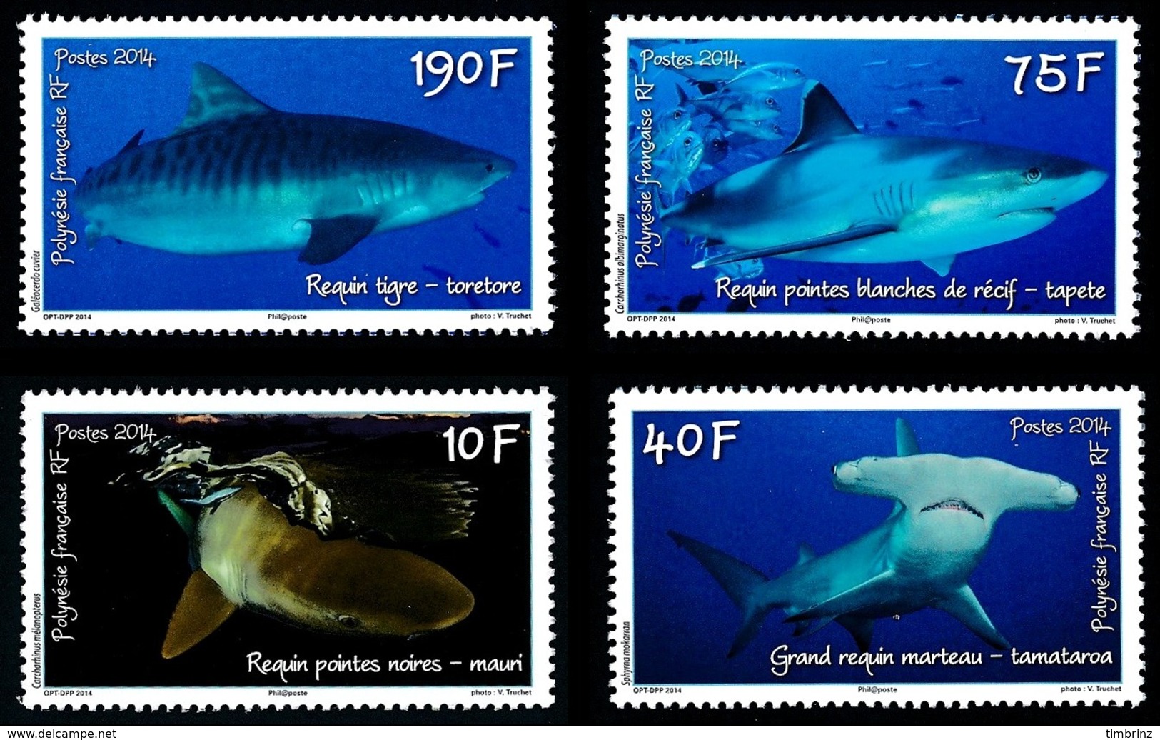 POLYNESIE 2014 - Yv. 1065 1066 1067 Et 1068 **   Faciale= 2,65 EUR - Journée De L'océan. Requins (4 Val)  ..Réf.POL24966 - Neufs