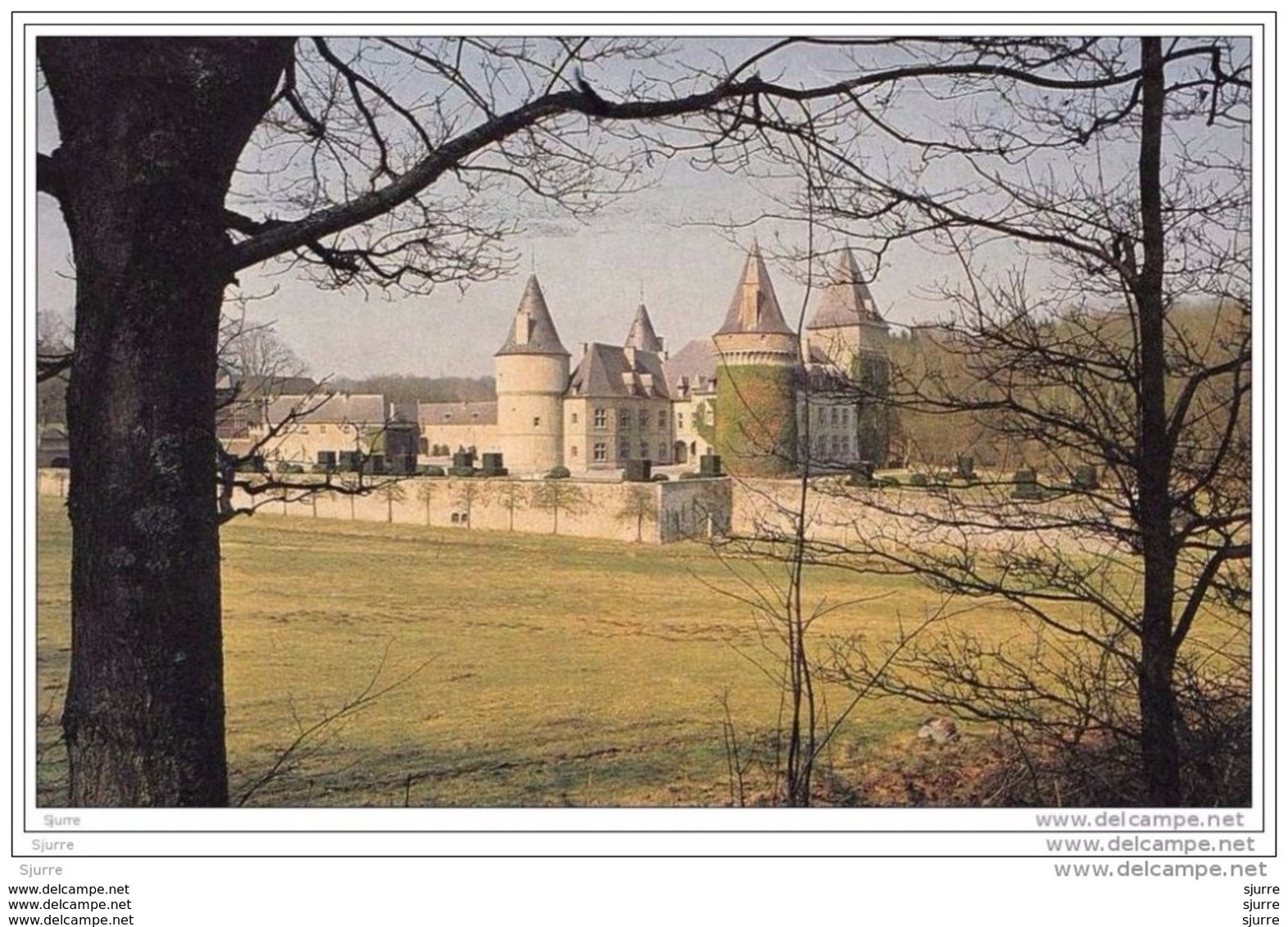 ANTHEE / Onhaye - Kasteel - Château Fontaine - Onhaye