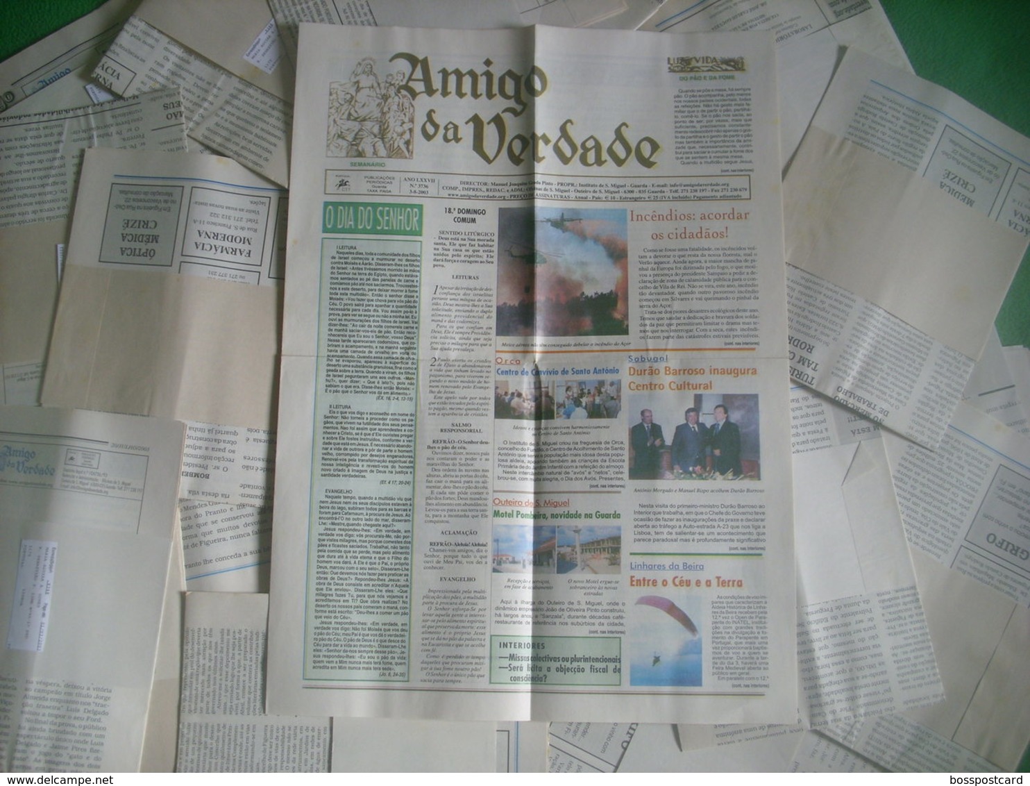 Guarda - 22 Jornais "Amigo Da Verdade" - Ano De 2003 - Instituto De São Miguel -  FIgueira De Castelo Rodrigo - Imprensa - Allgemeine Literatur