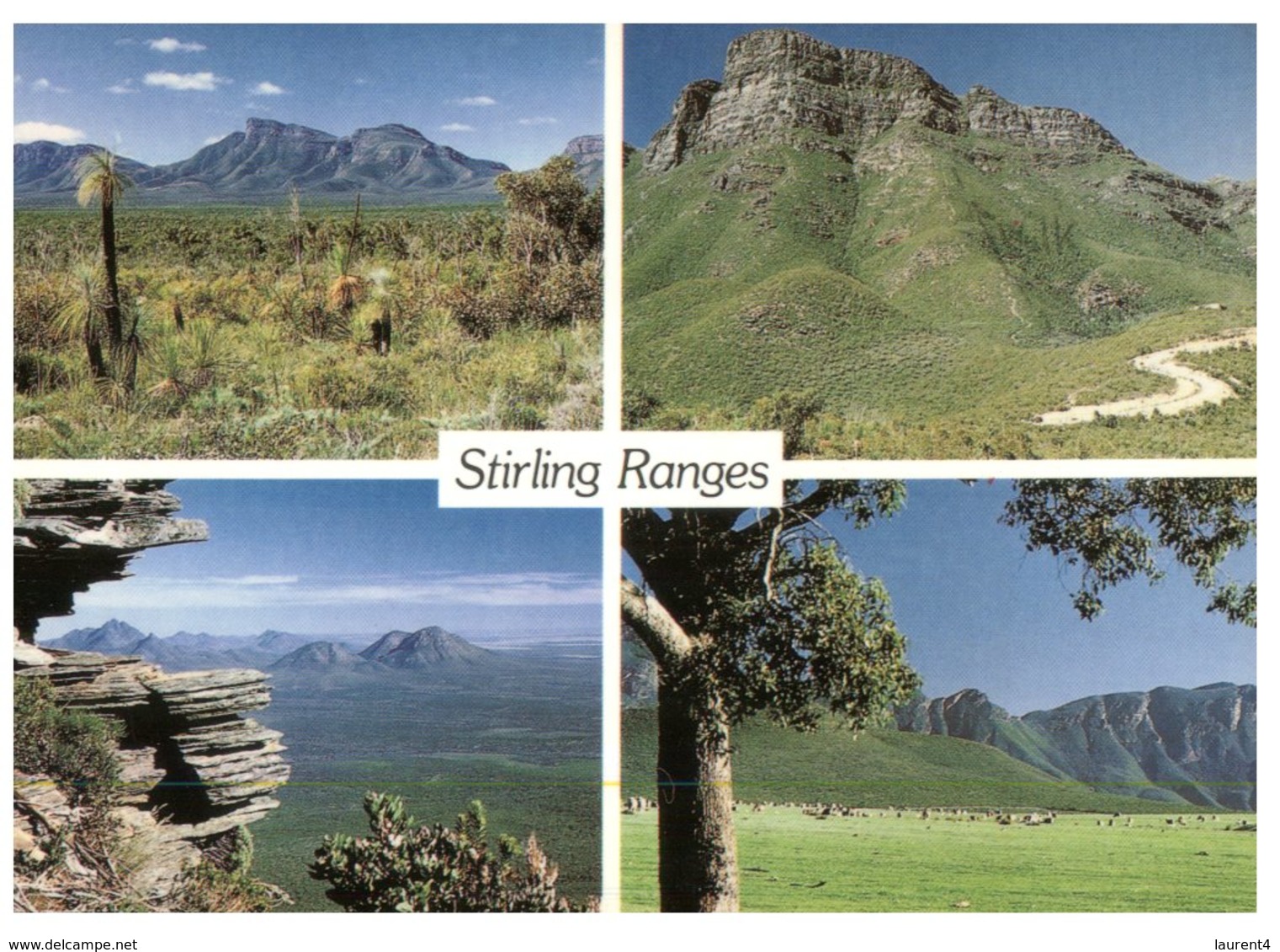 (13) Australia - SA - Stirling Ranges - Flinders Ranges