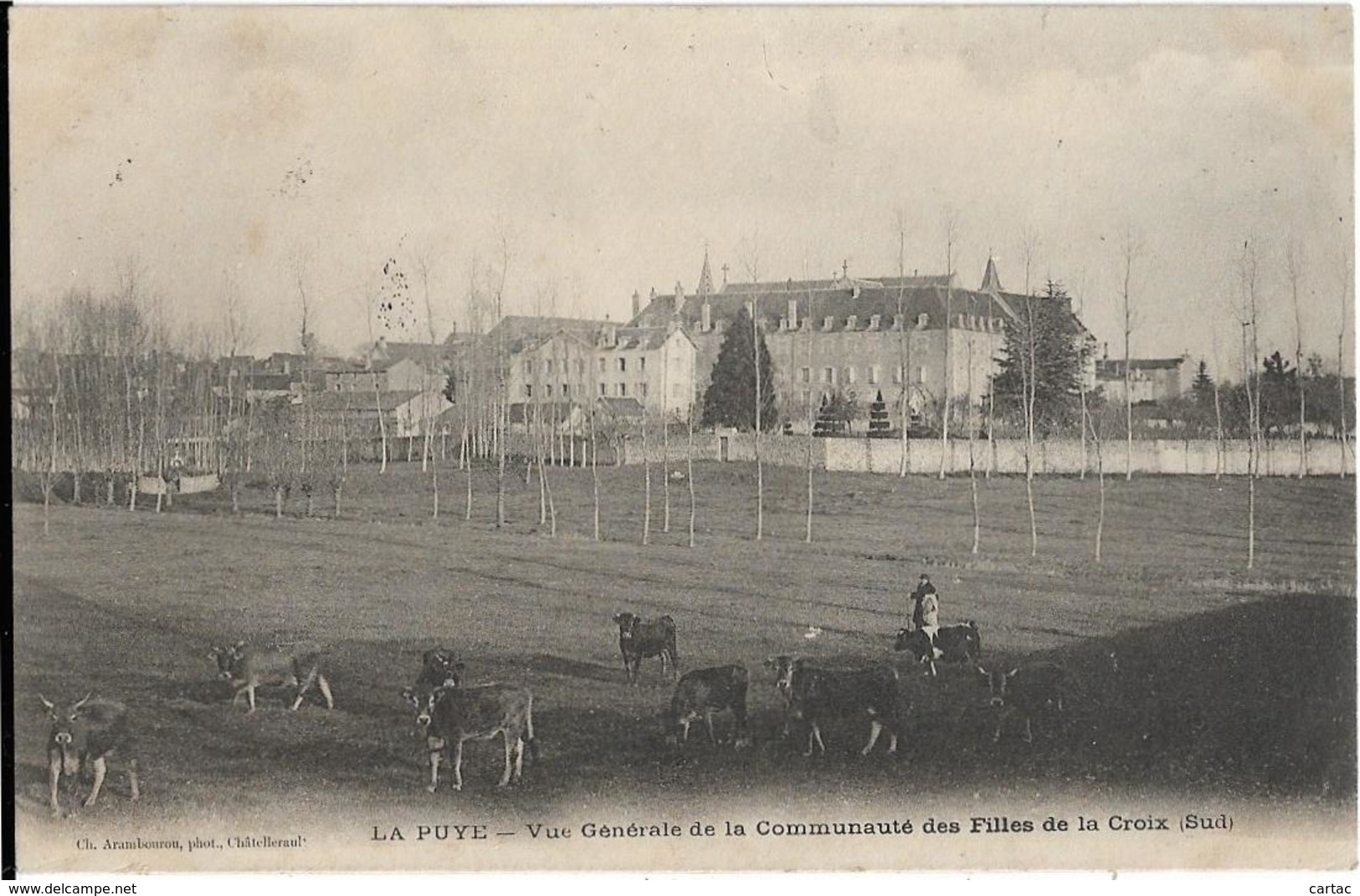 D86 - LA PUYE  - VUE GENERALE DE LA COMMUNAUTE DES FILLES DE LA CROIX (SUD) - Personne Avec Plusieurs Vaches - Autres & Non Classés