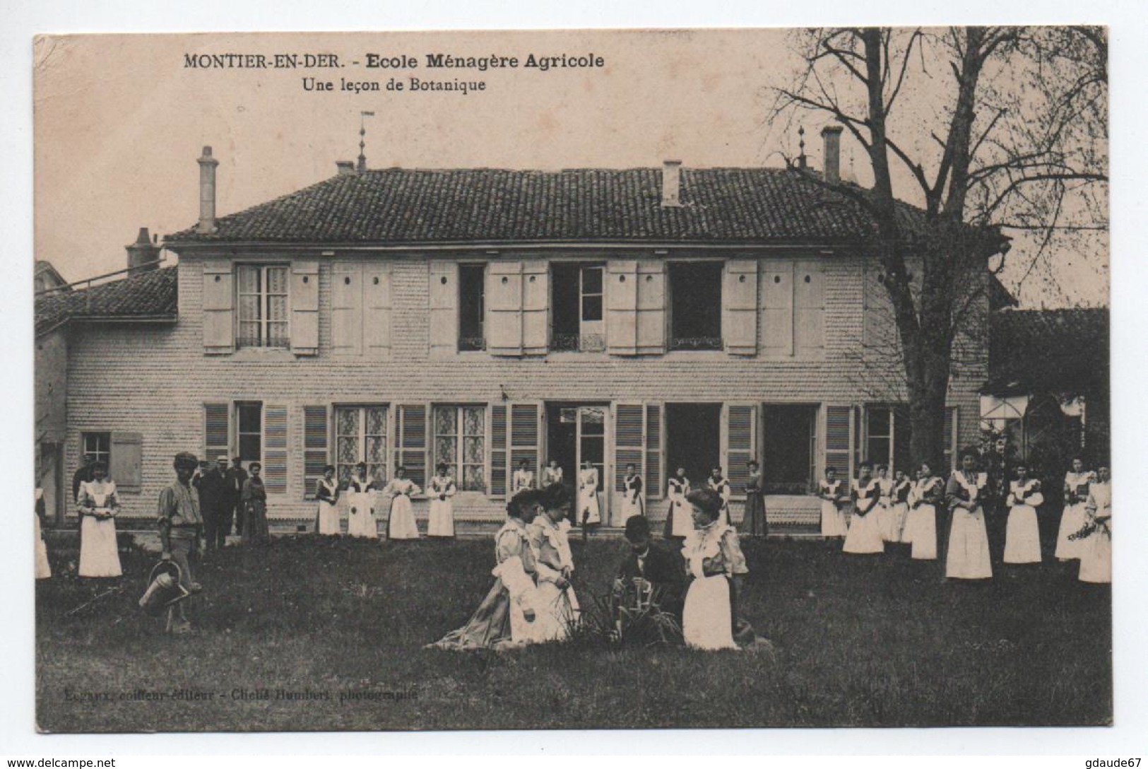 MONTIER EN DER (52) - ECOLE MENAGERE AGRICOLE - UNE LECON DE BOTANIQUE - Montier-en-Der