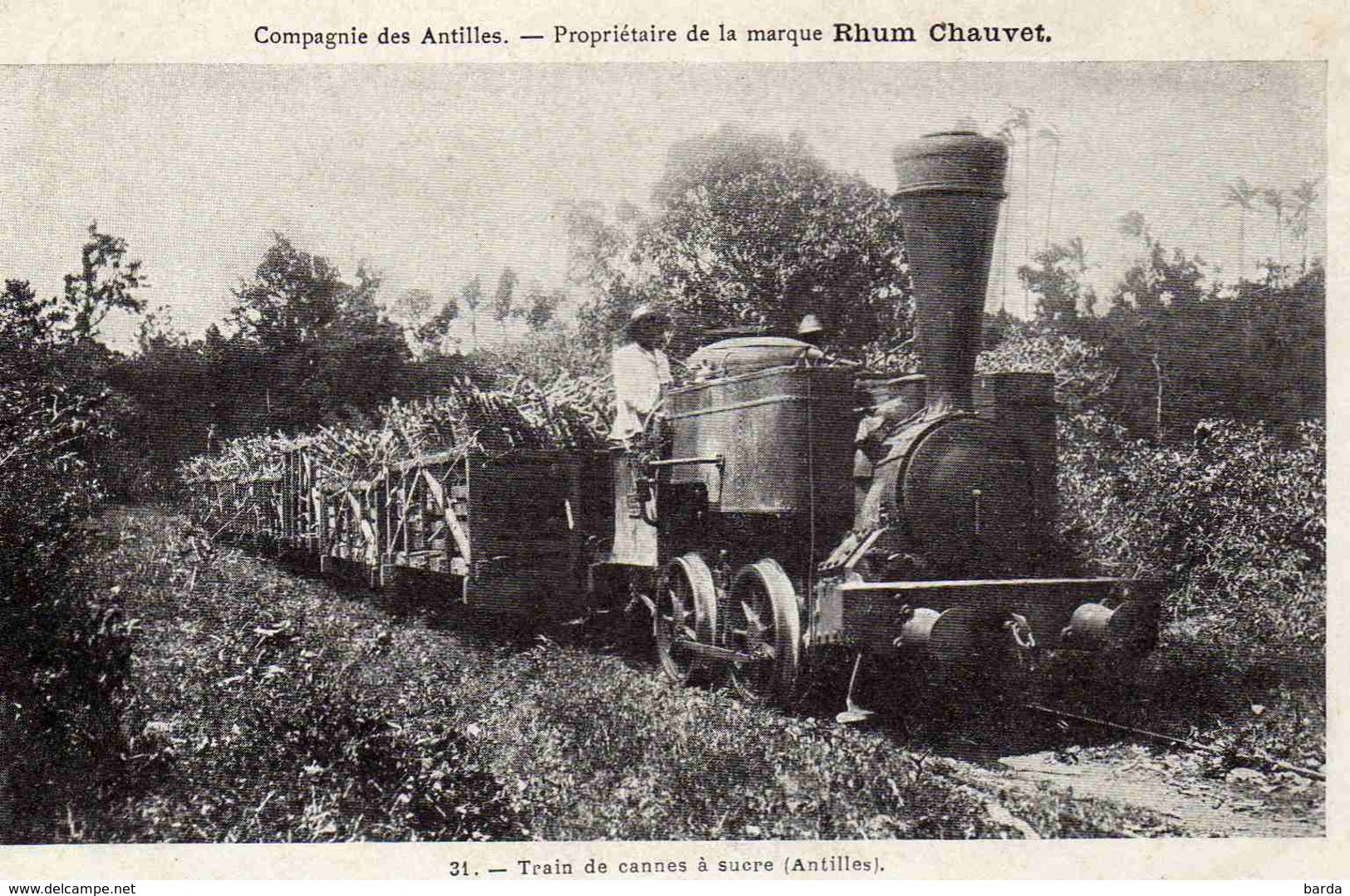 Compagnie Des Antilles - Propriétaire Rhum Chauvet – Train De Cannes à Sucre (Antilles) - Autres & Non Classés