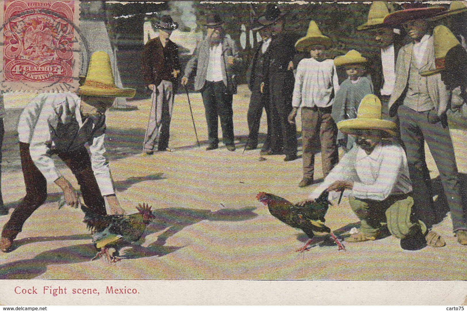 Amérique - Mexique Mexico - Mexico - Cock Fight Scene - Combat De Coqs - Pelleas De Gallos  - Matasellos 1908 - Mexique
