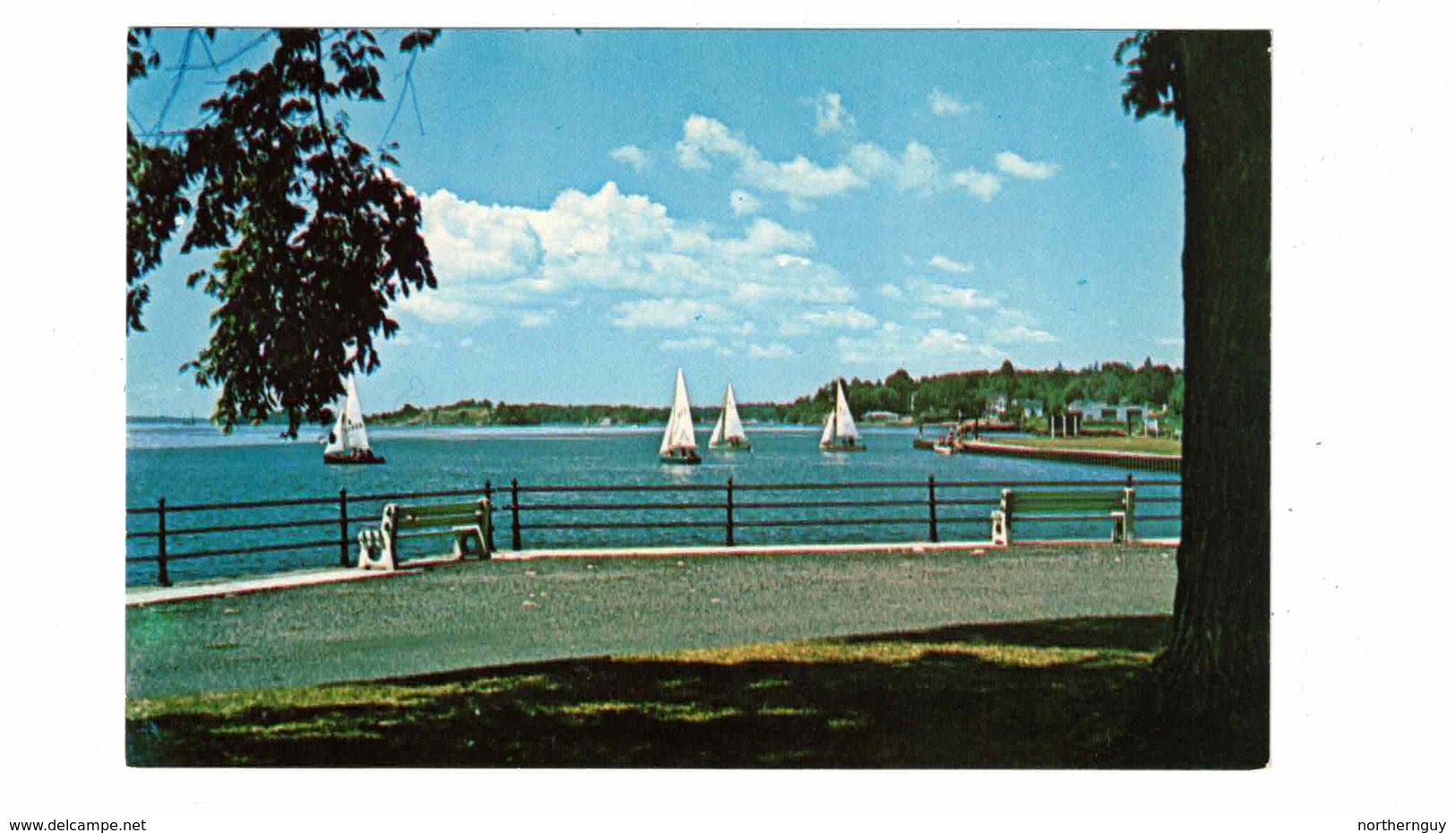 BROCKVILLE, Ontario, Canada,  Sailboat Scene, 1000 Islands, Old Chrome Postcard, Leeds County - Brockville