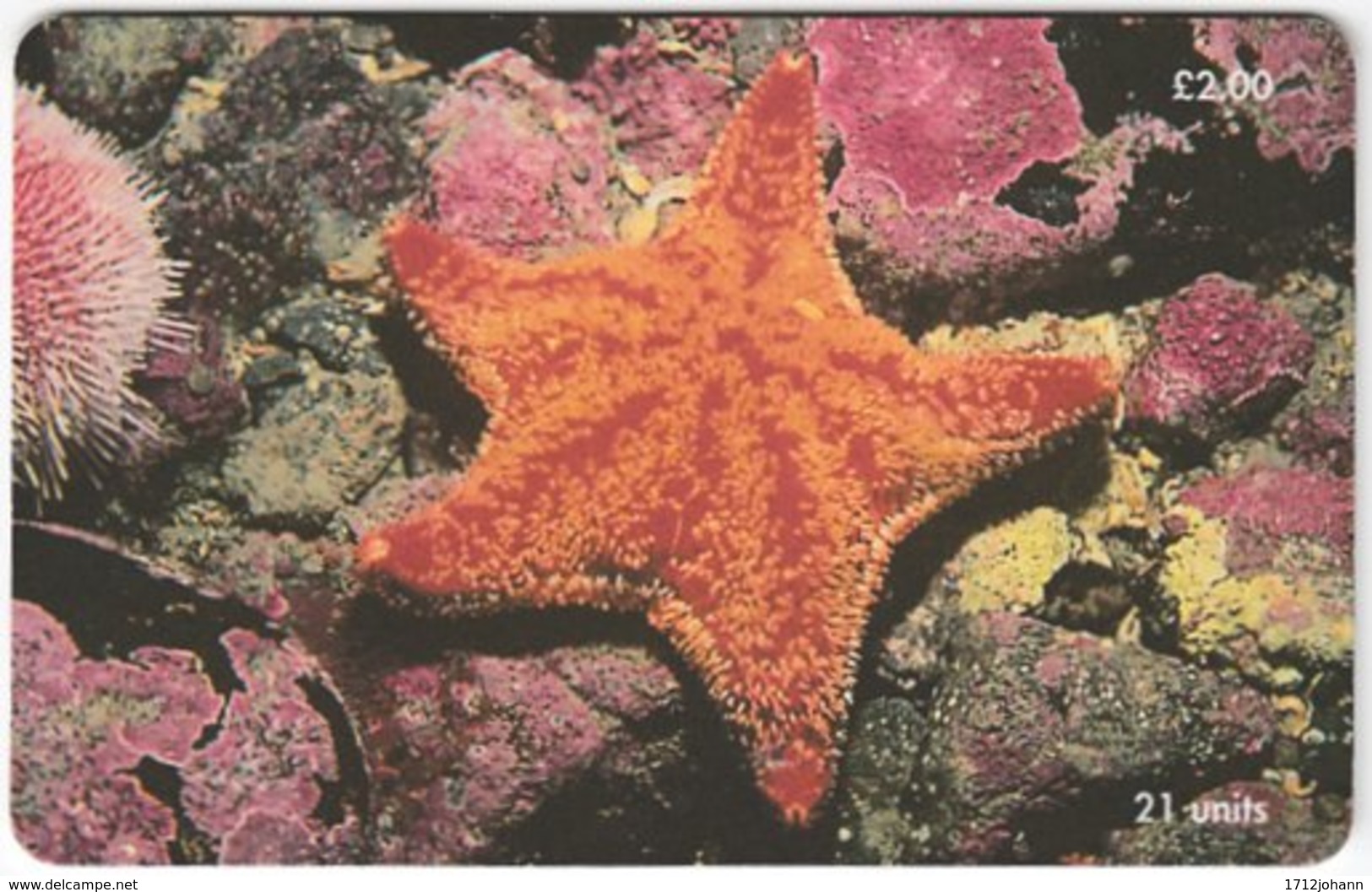 ISLE OF MAN A-041 Chip Telecom - Animal, Sea Life, Starfish - Used - [ 6] Isle Of Man