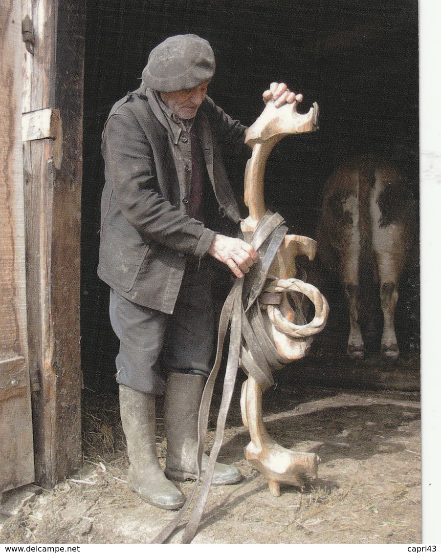 15  Neuveglise    Le Joug Pour Les Boeufs  En 2009 - Other & Unclassified