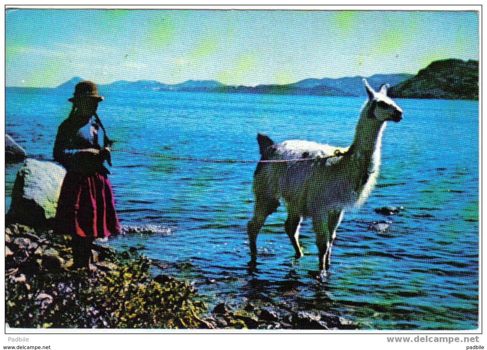 Carte Postale  Amérique  BOLIVIE BOLIVIA   Lago  TITICACA - Bolivië